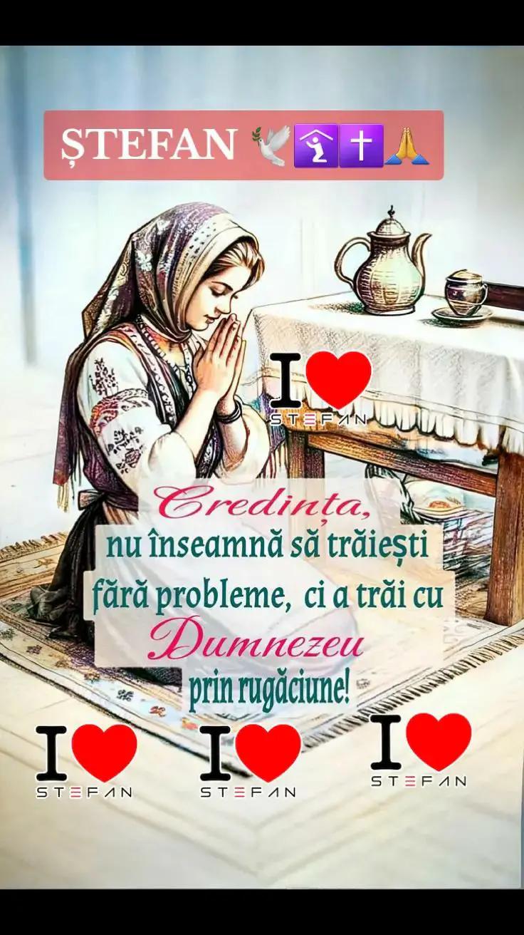 @🔷️🔵ȘTEFAN 🔵🔷️