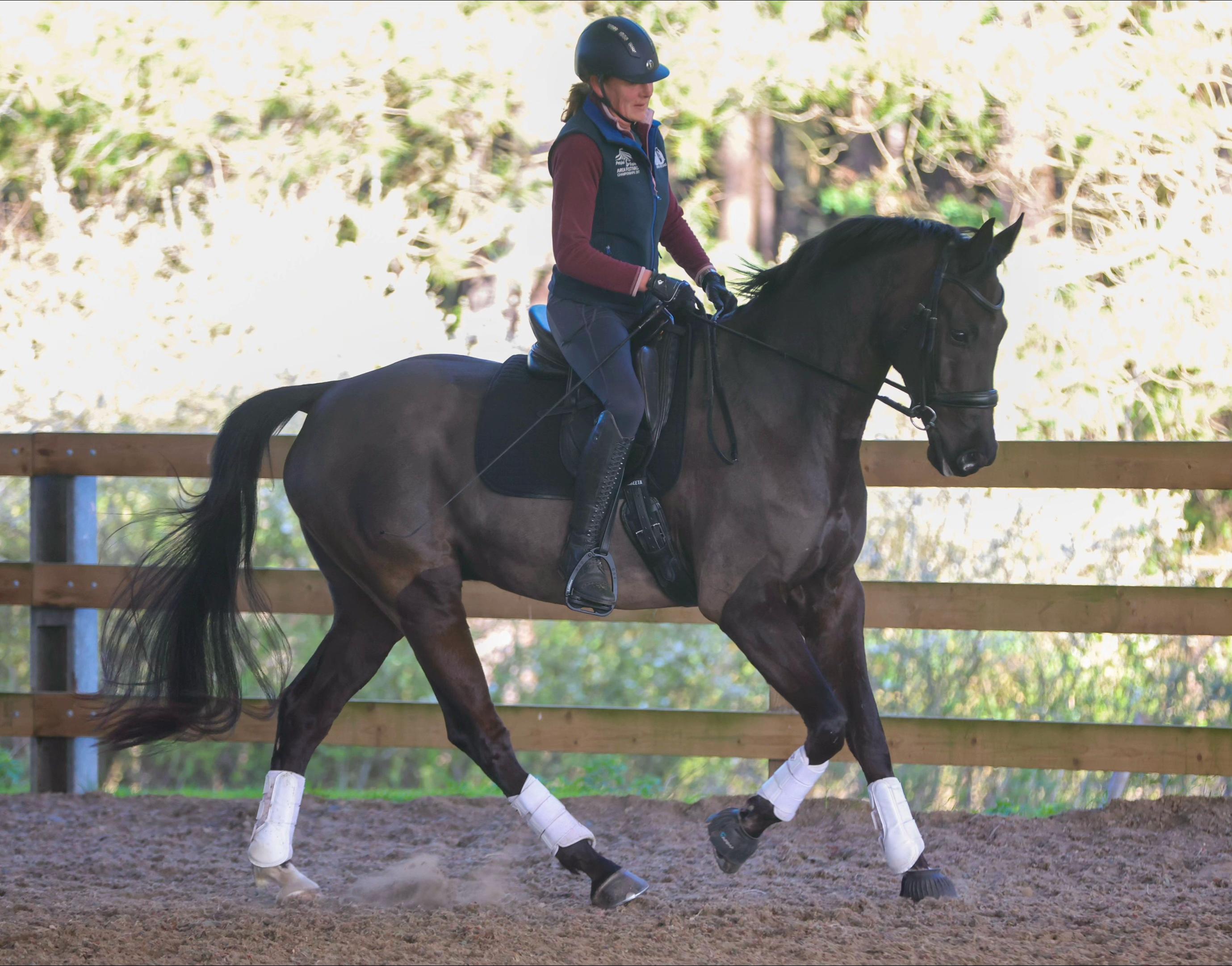 @equinectar