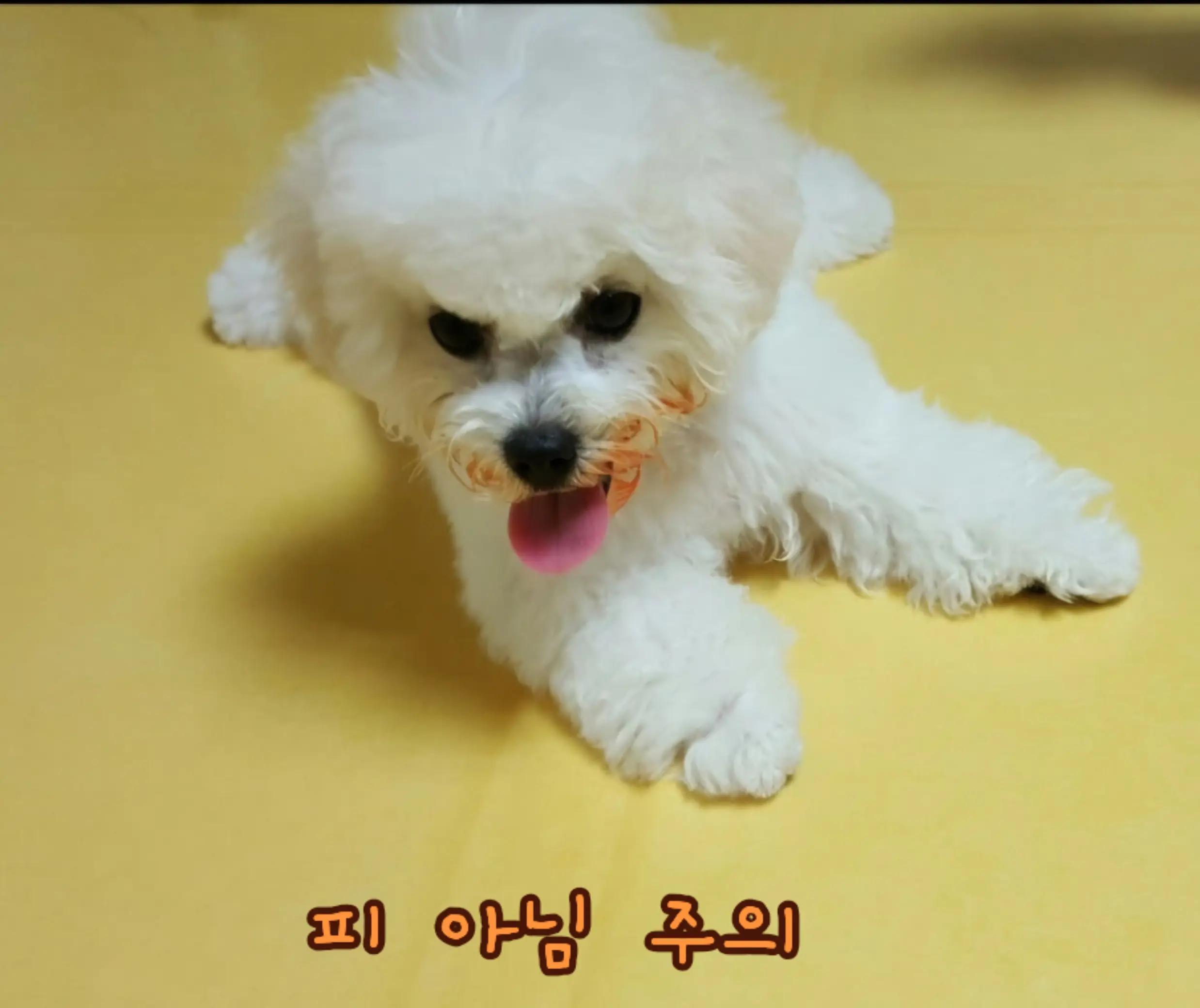 @๐๐ ๋ณ ๐๐