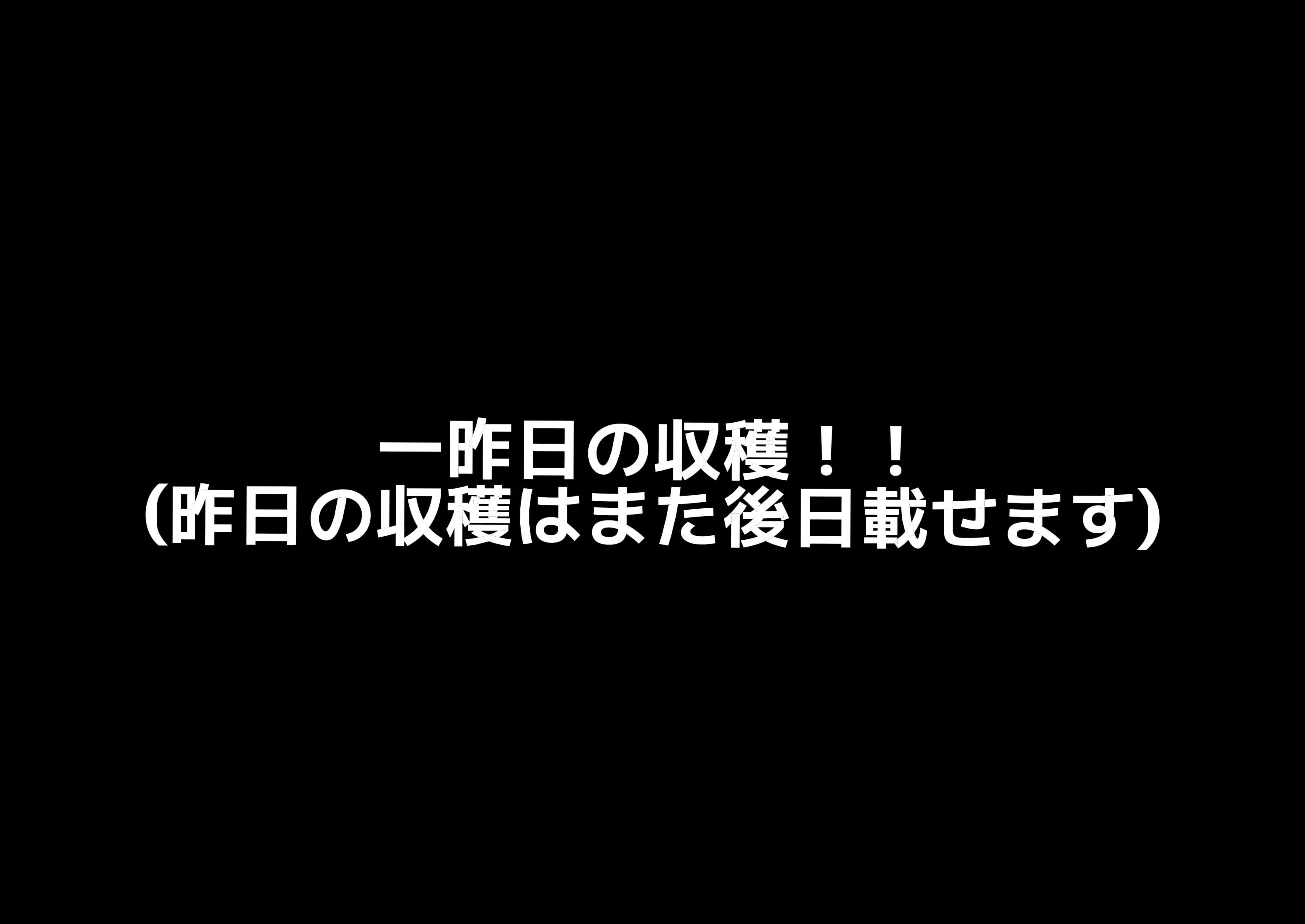@yuuki629🎮️🎧