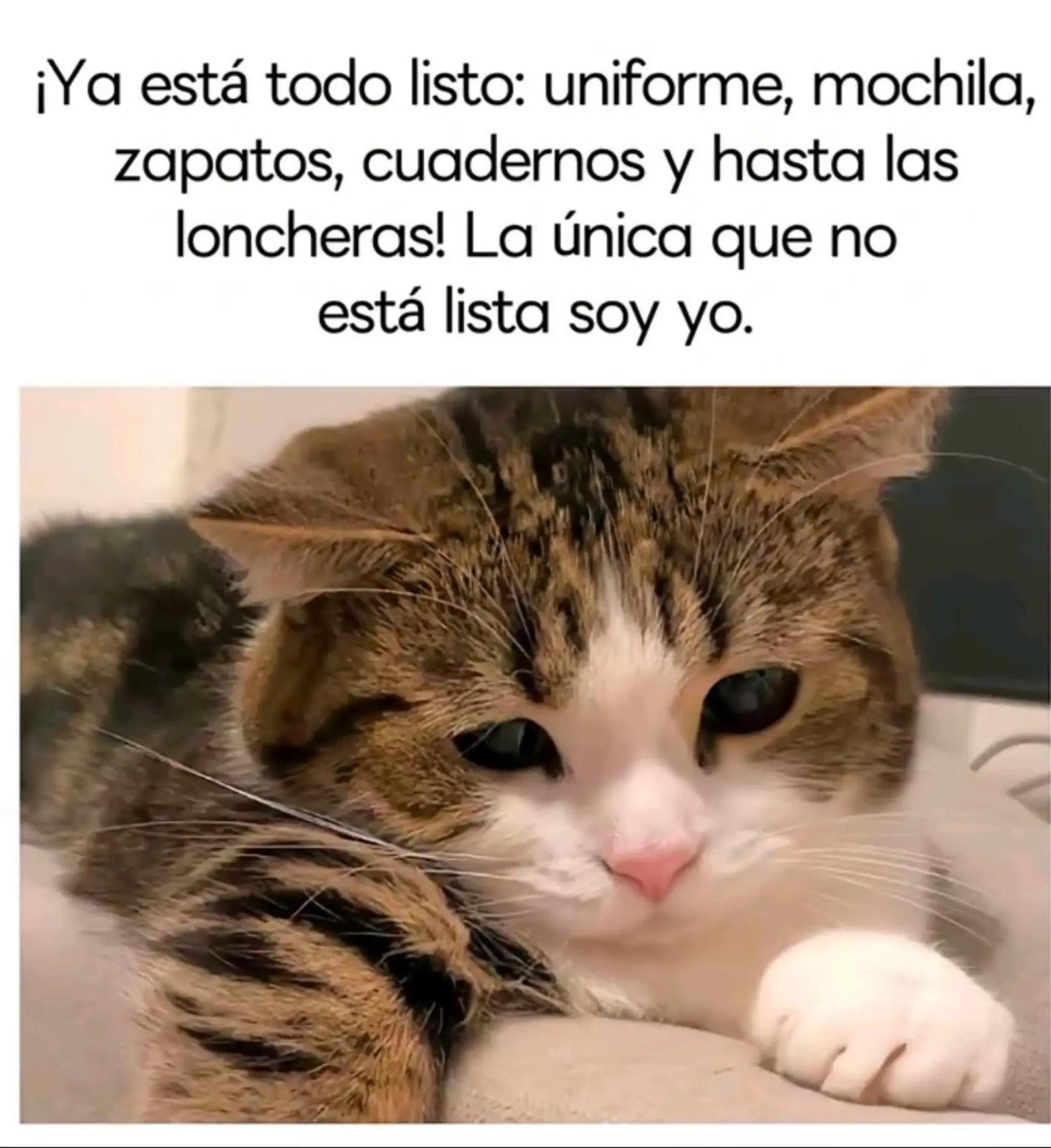 @Shantal Diaz