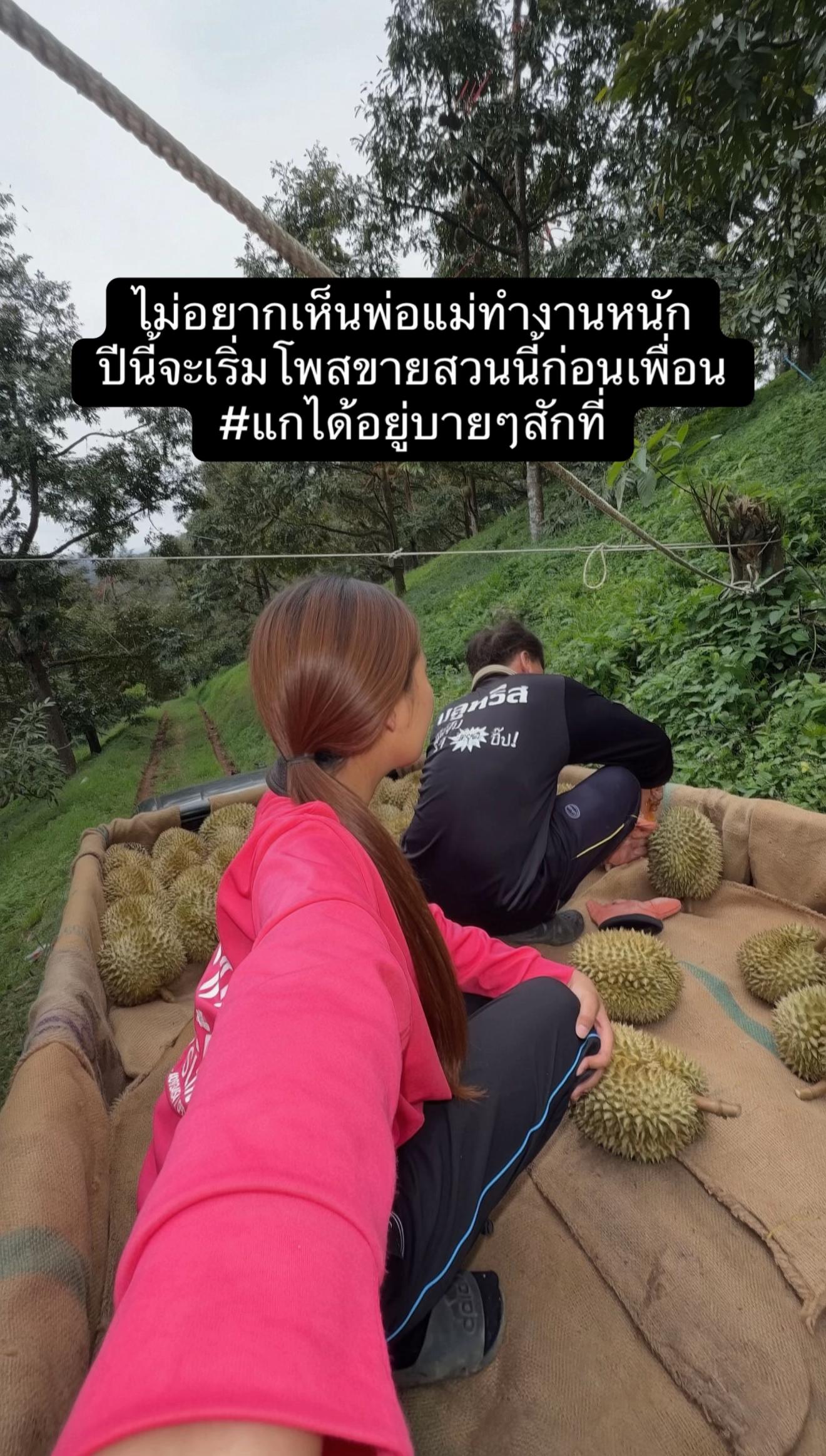 @แฟน วิรัญยา