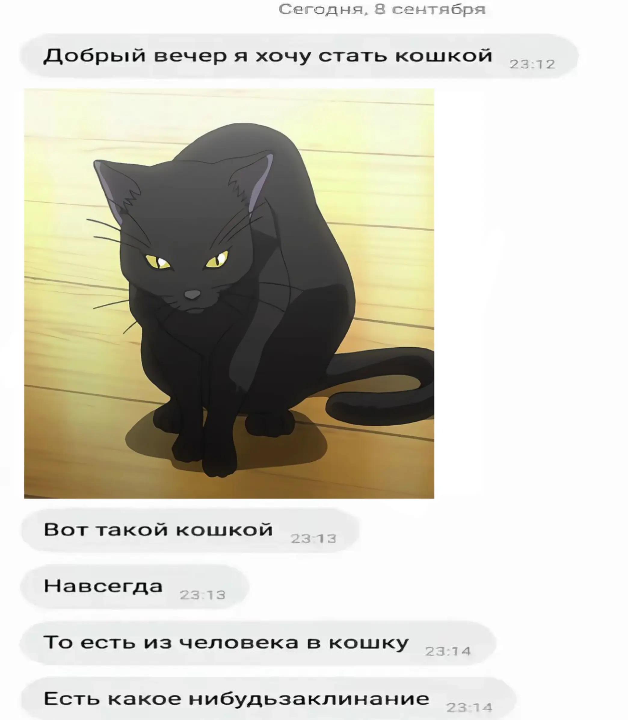 @виви комахиновна