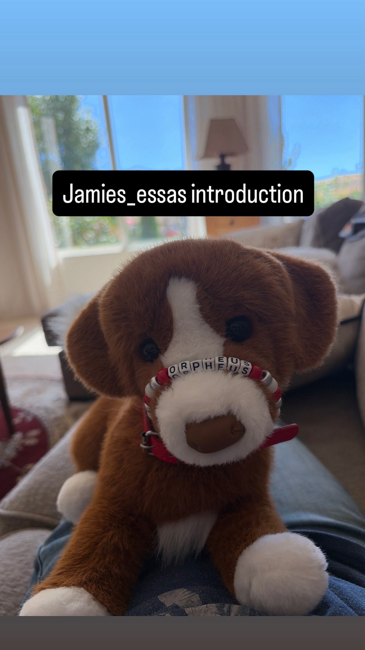 @☕️🐾 Jamie