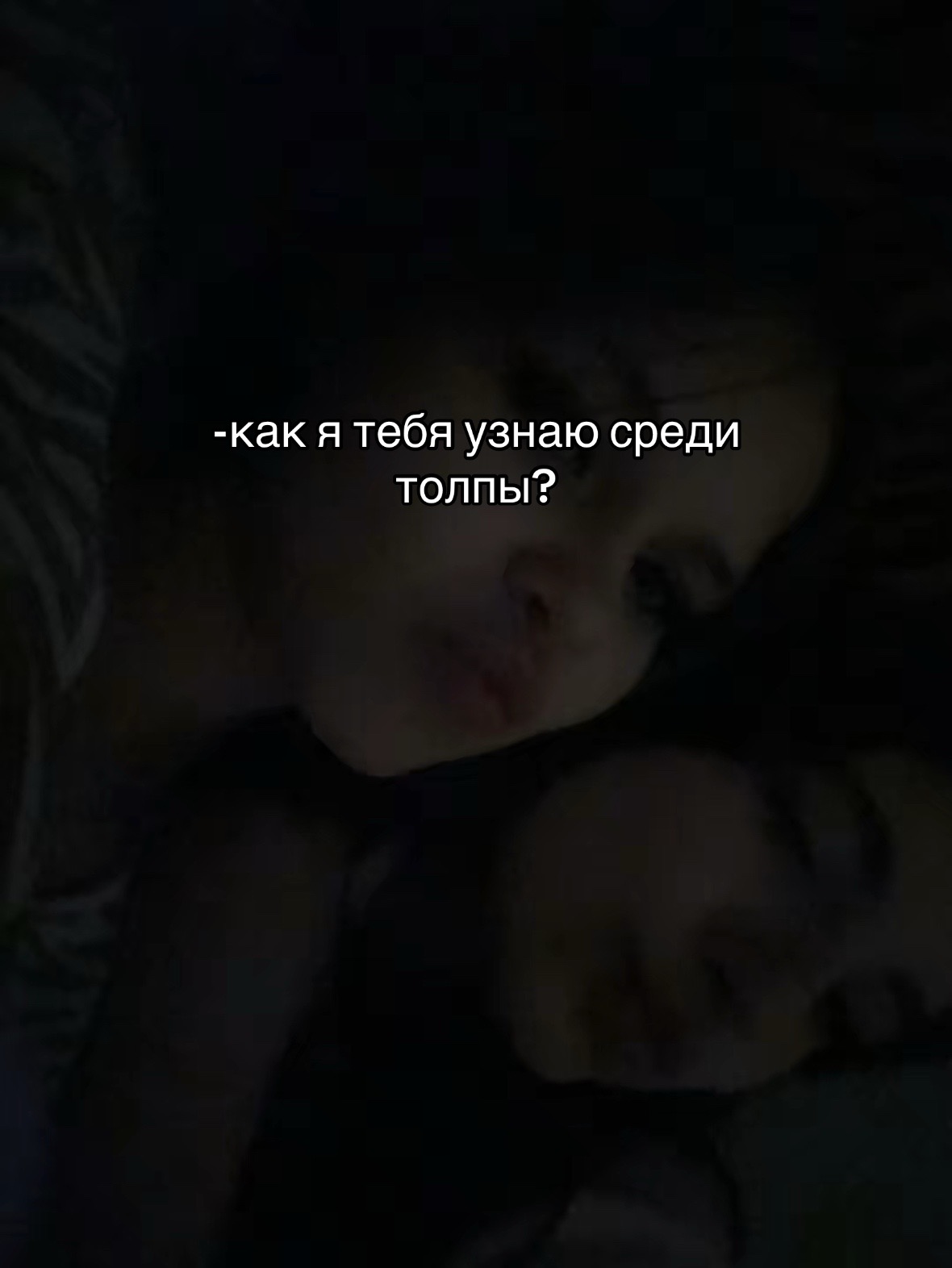 @🐈⬛