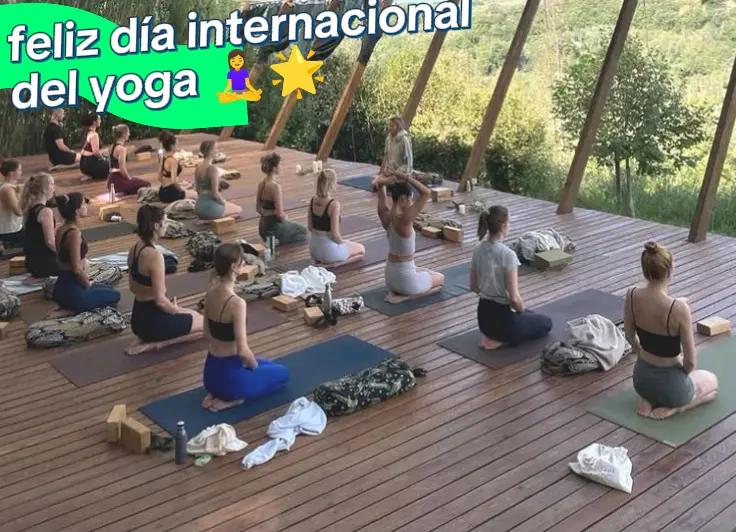 @yogavidasaludable