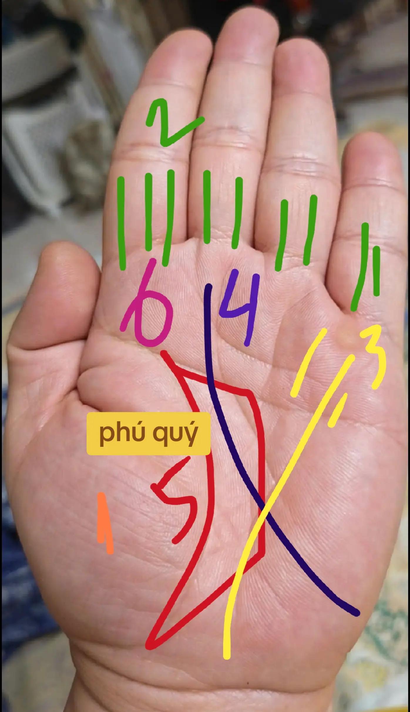 @Nhân Tướng Hiểu Mình