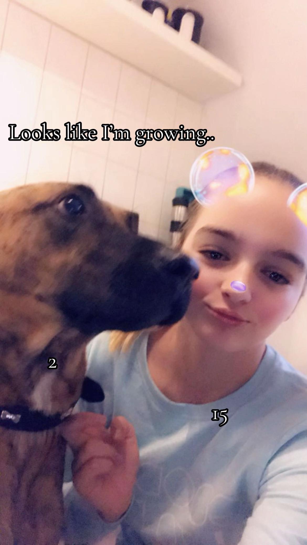 @raccoon_diaries