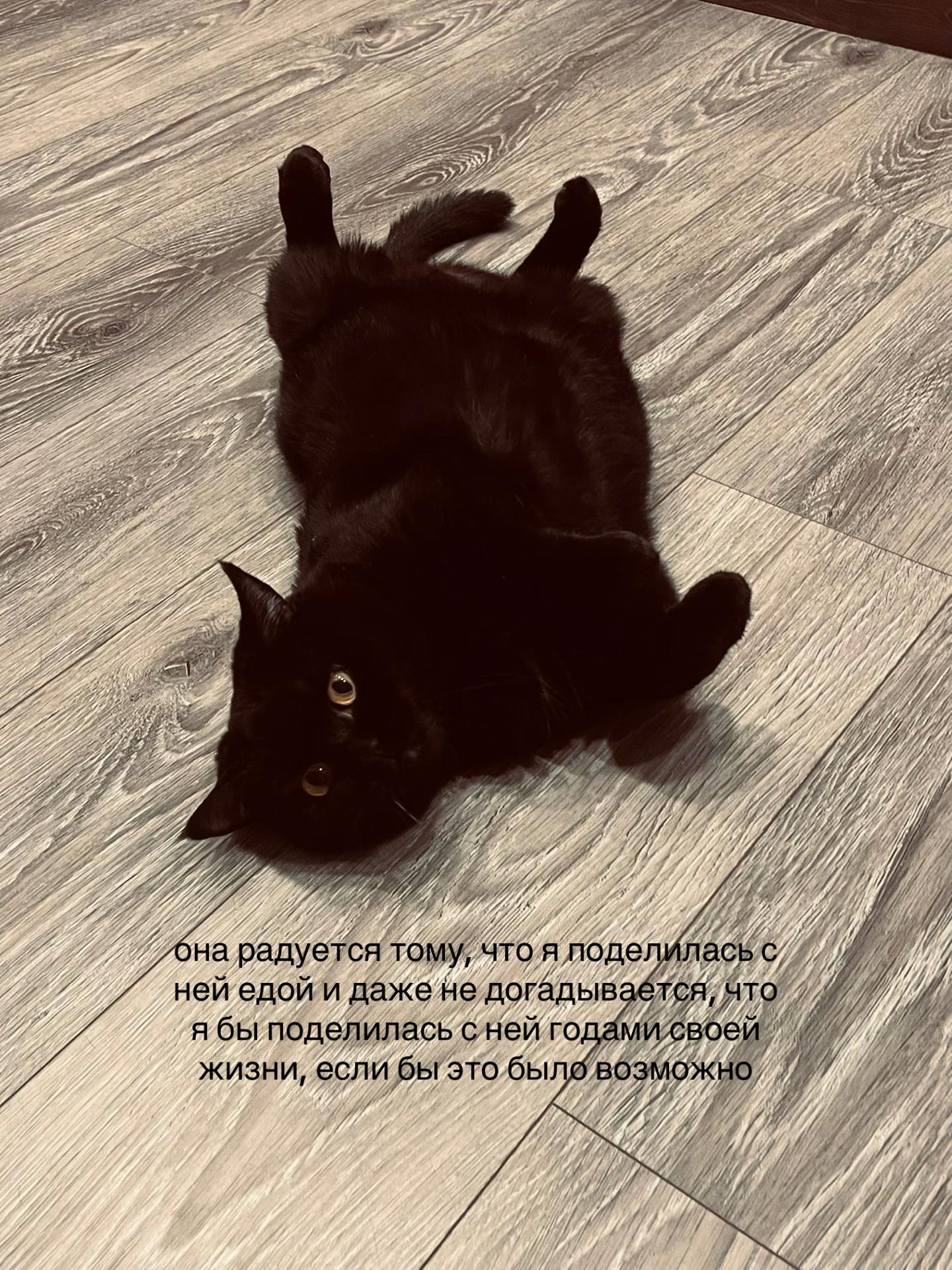 @ариша 𓍼