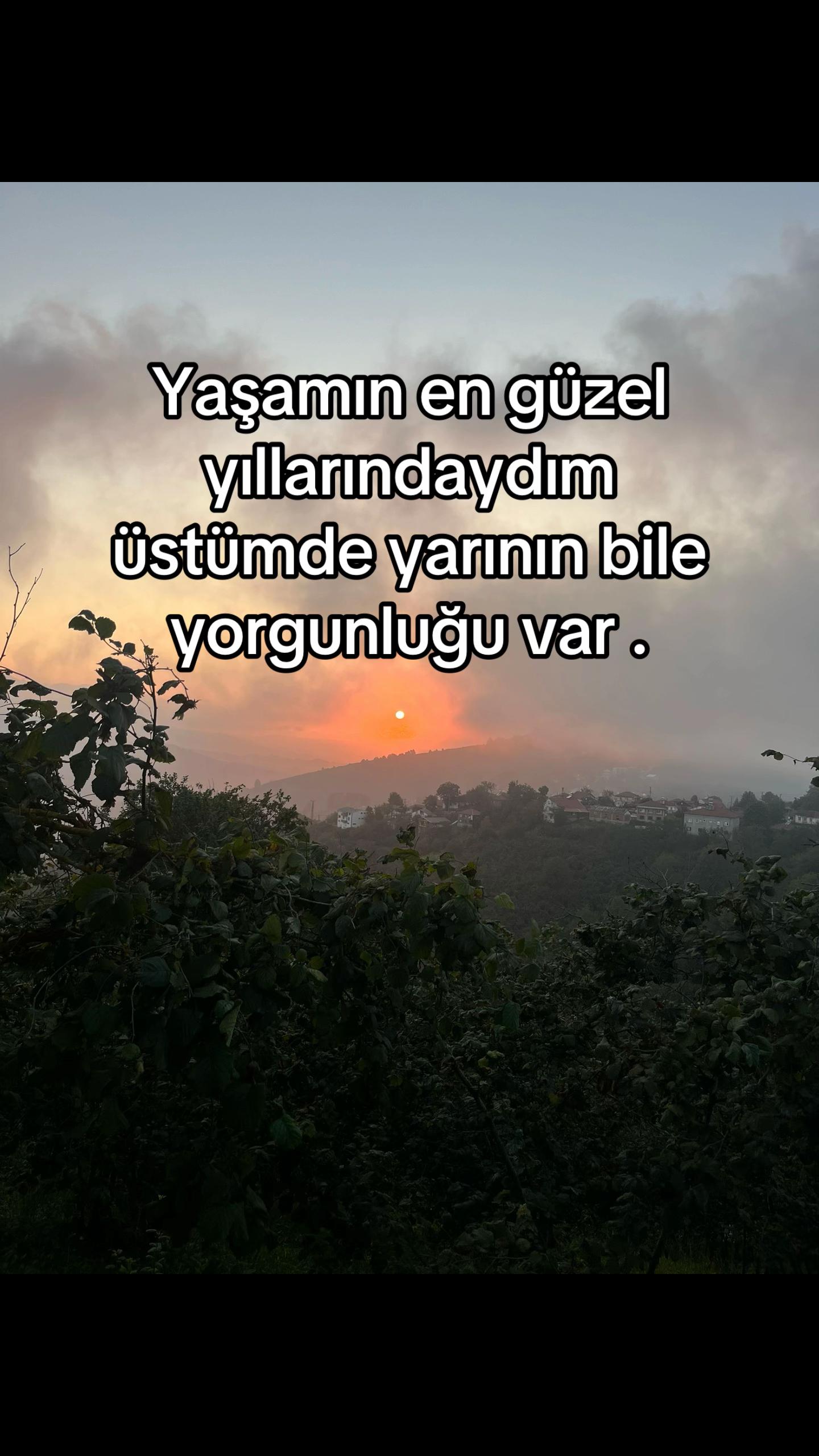 @User.can 🦅