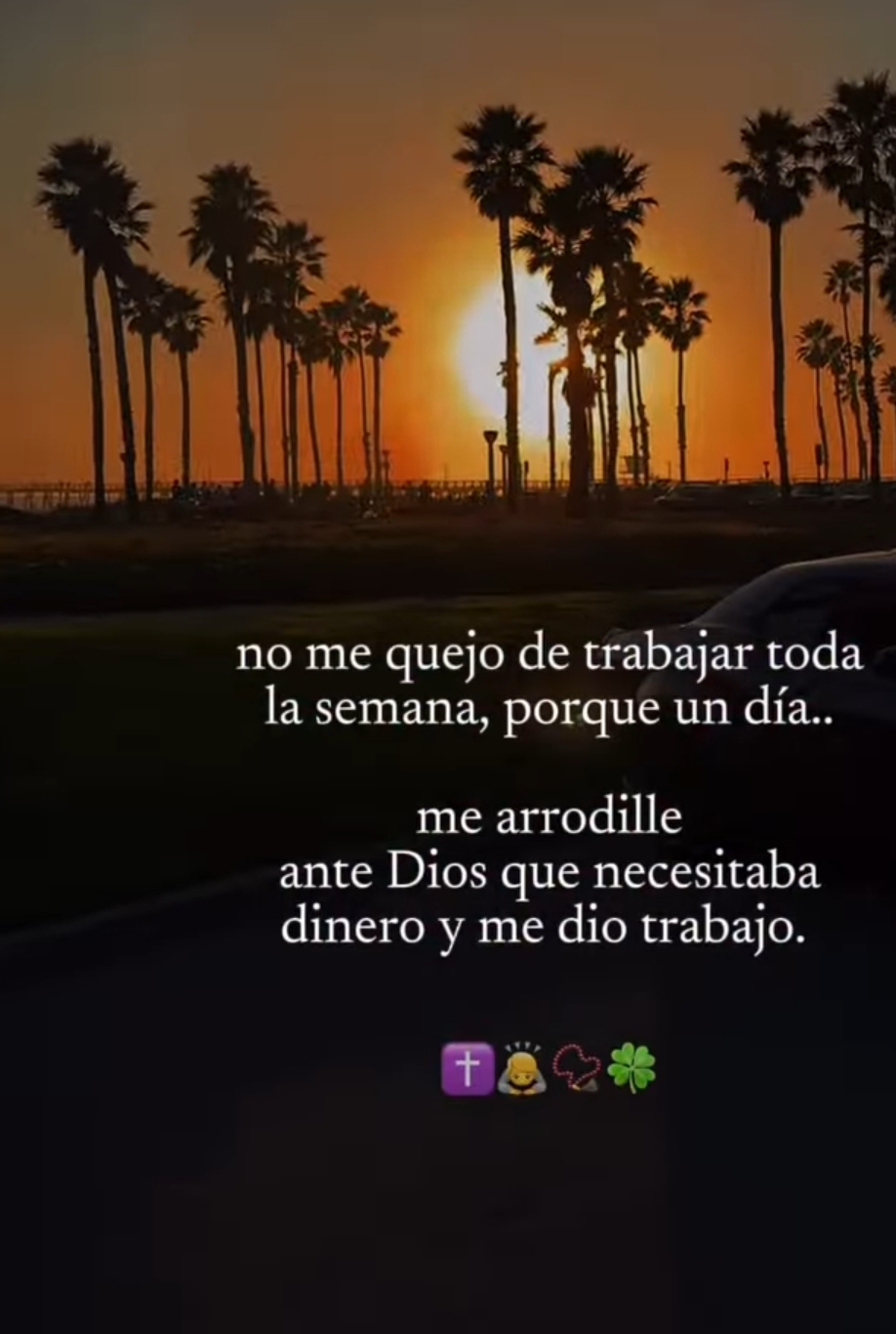 @Celene Fernandez