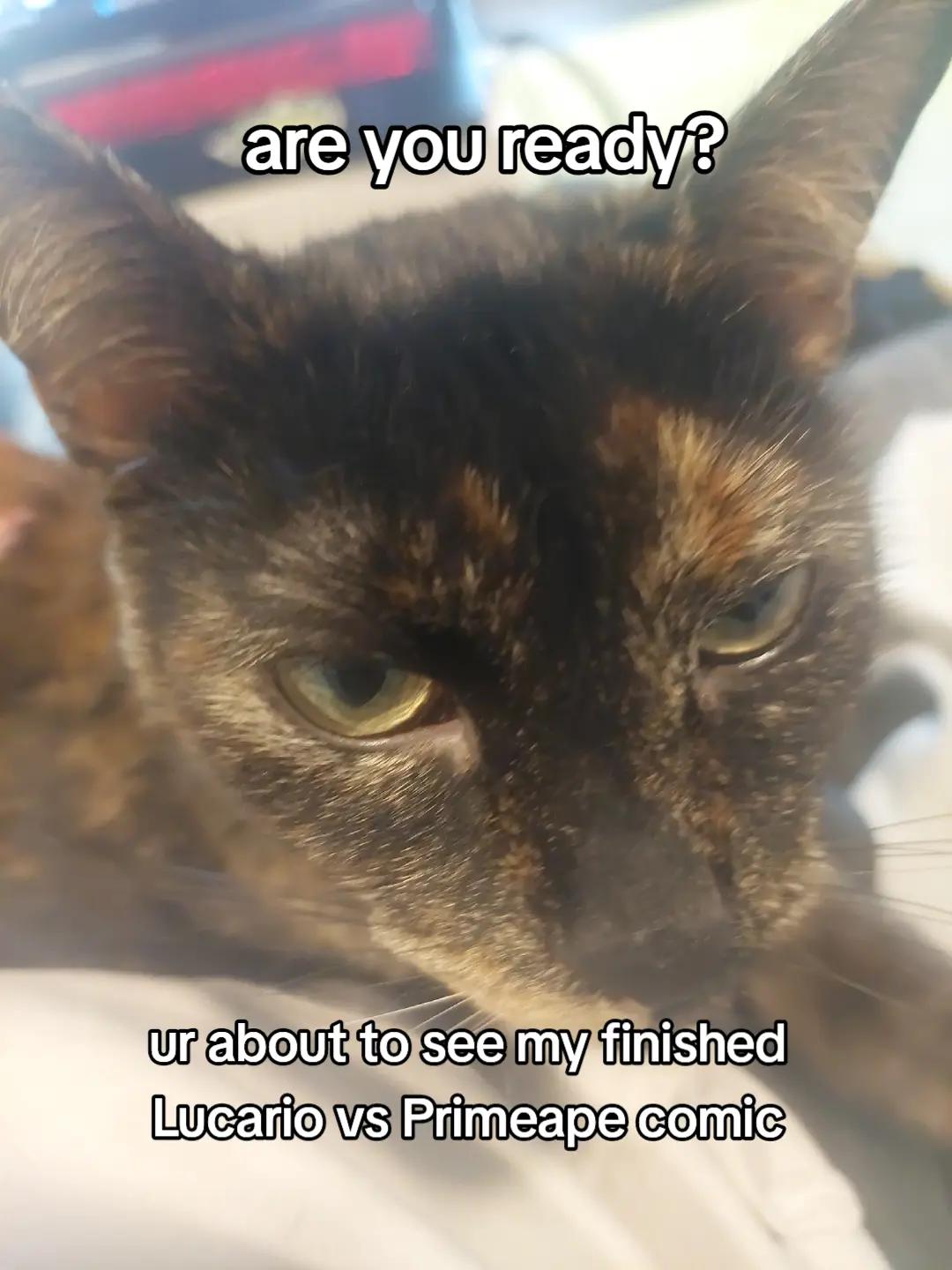 @KingVoid