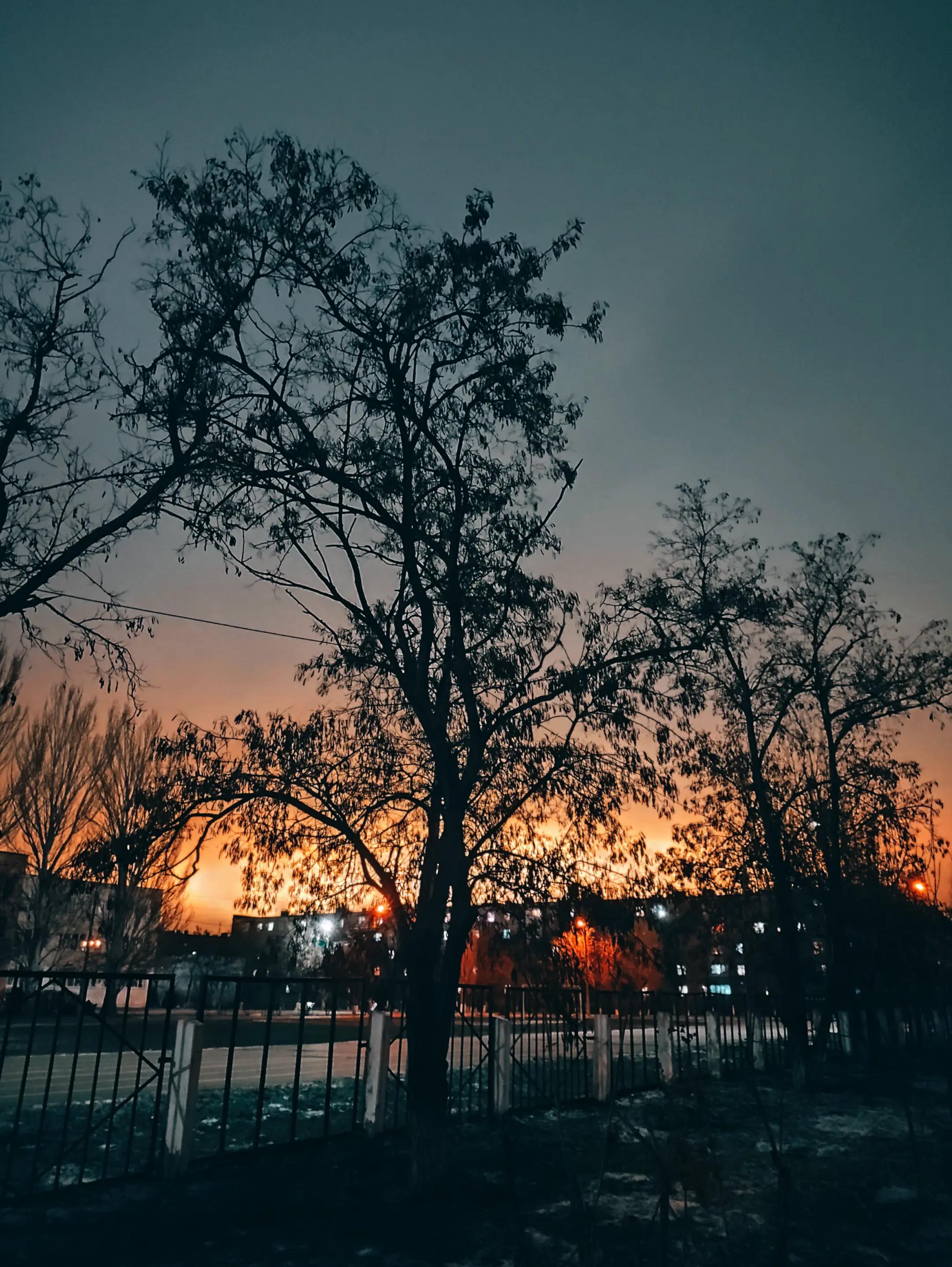 @✨Лисёнок✨