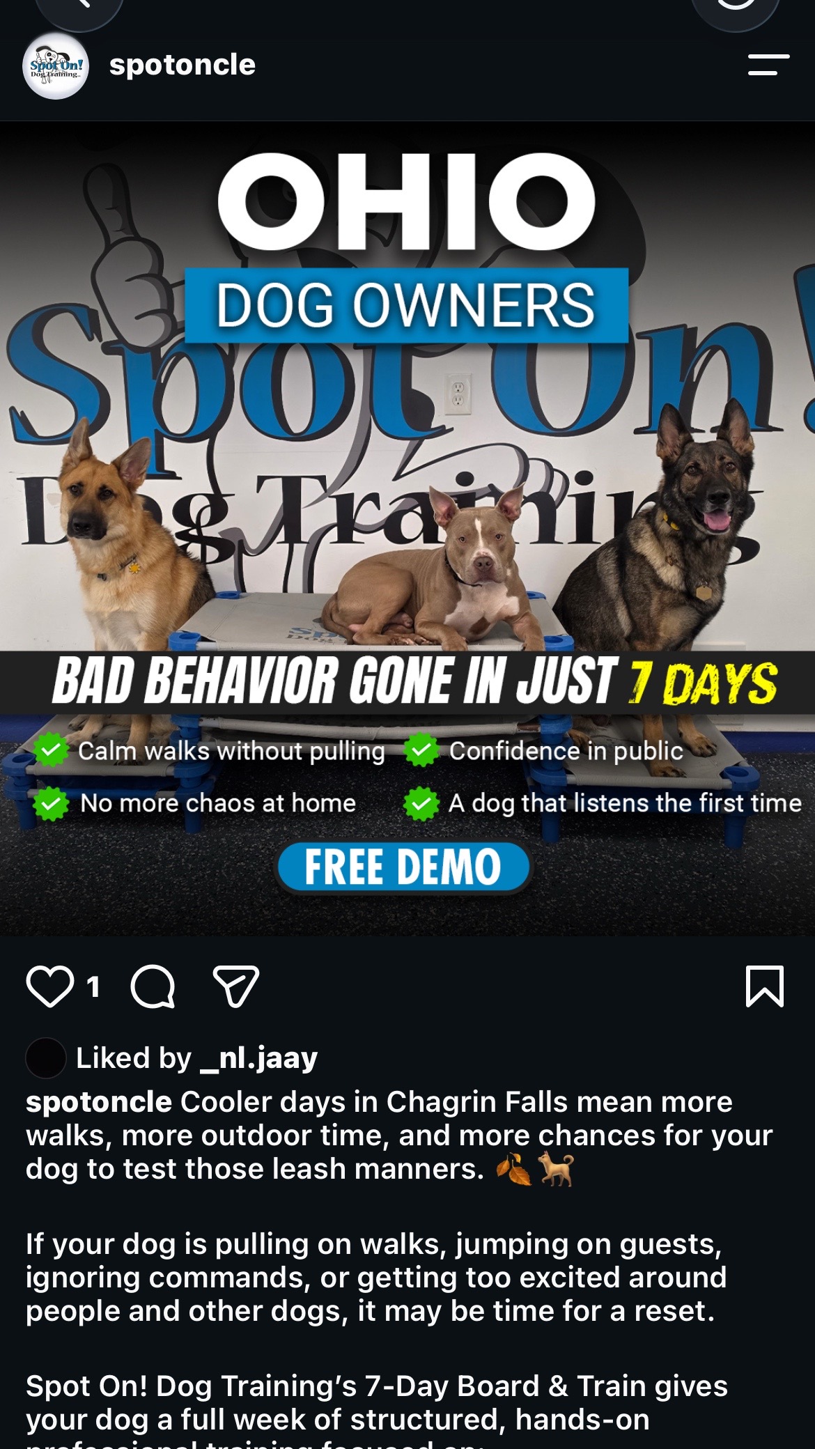 @Jay TheDog Trainer