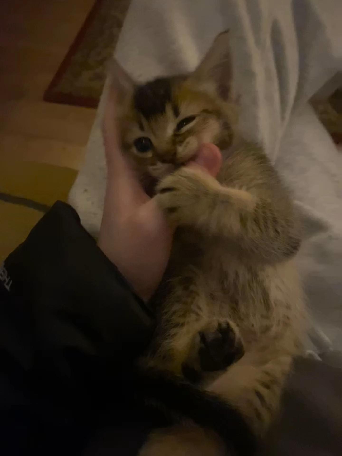 @iz<3