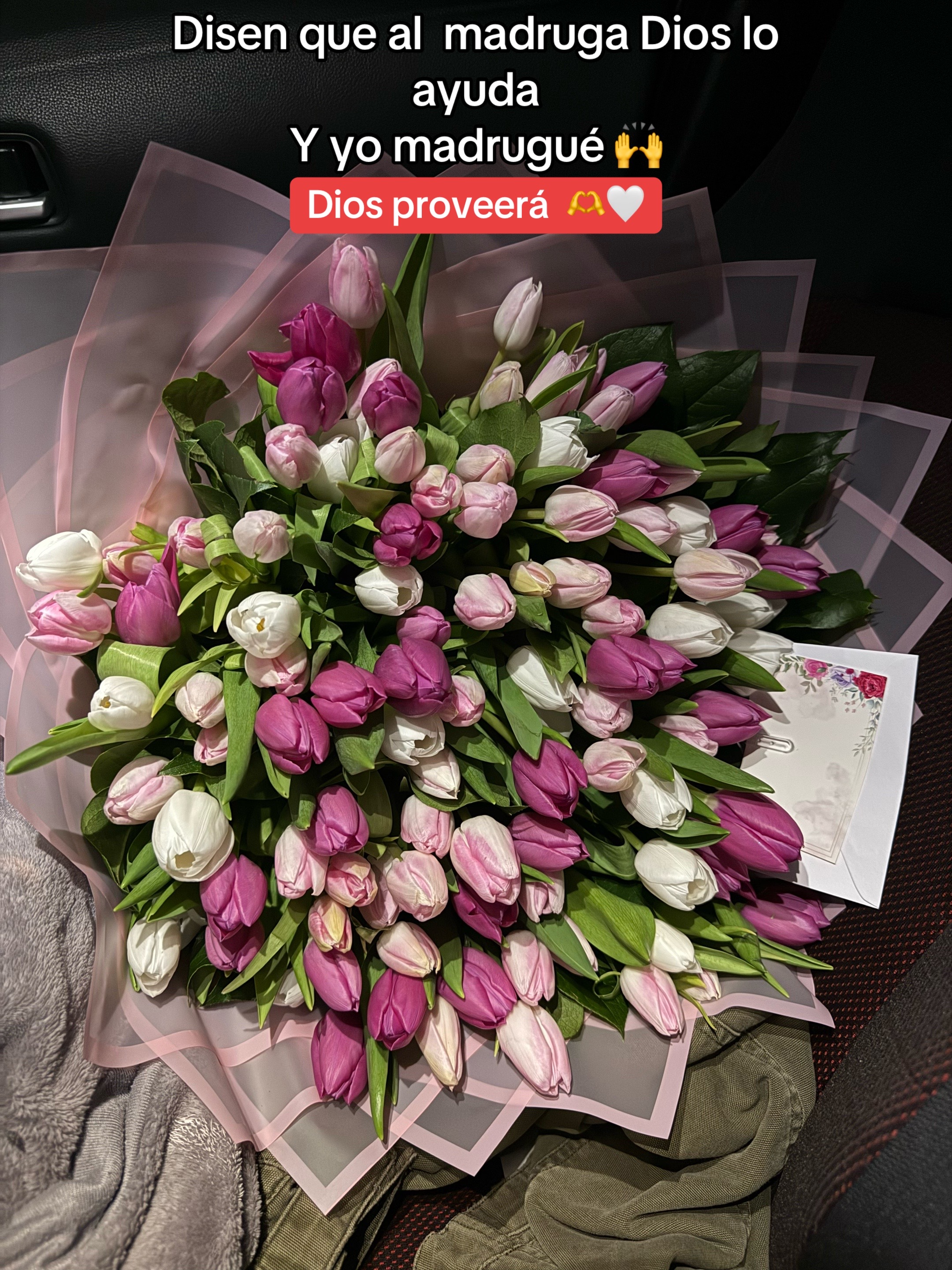 @Clari Velasquez ☘️🌹🌻🍒