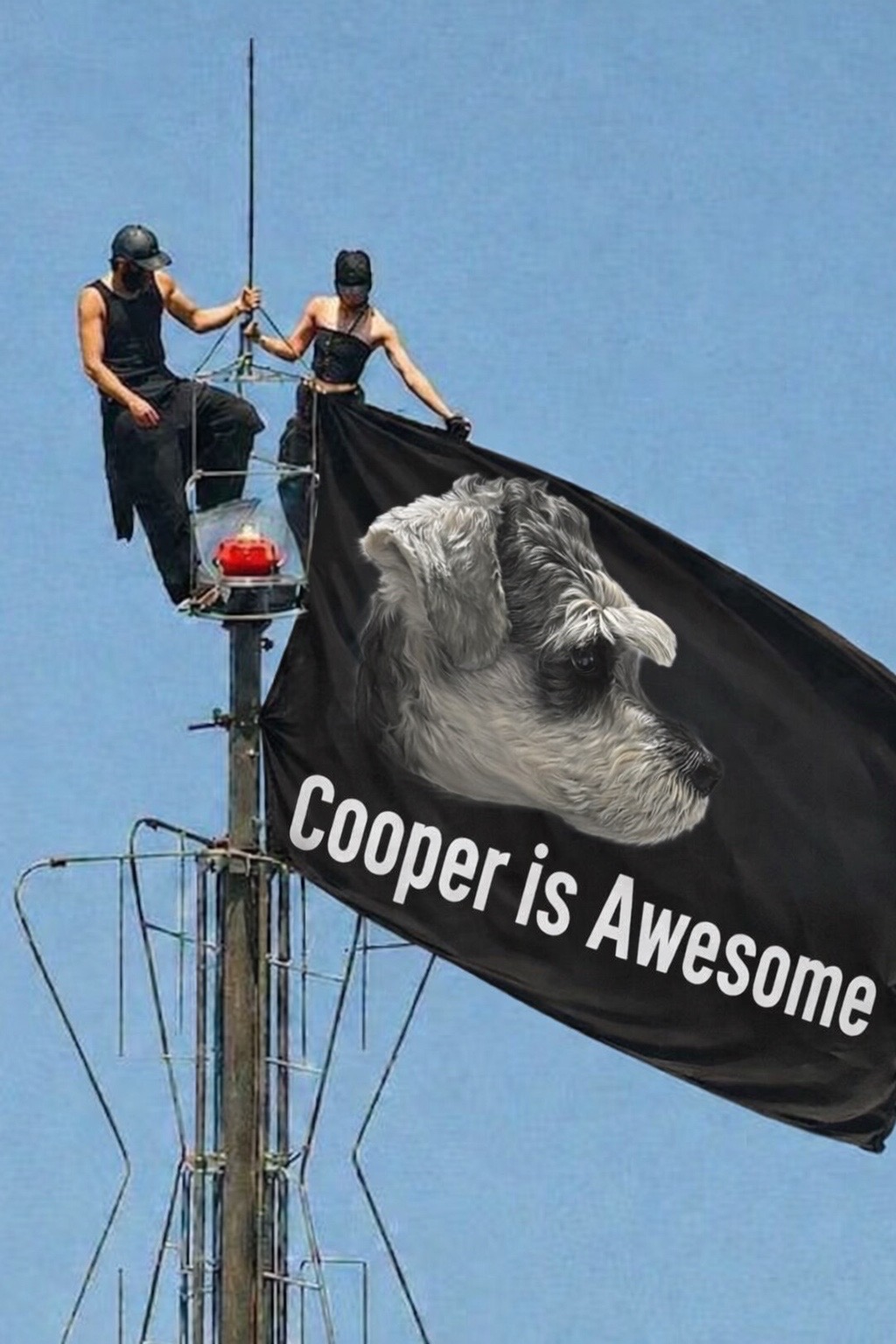 @Cooper The Schnauzer