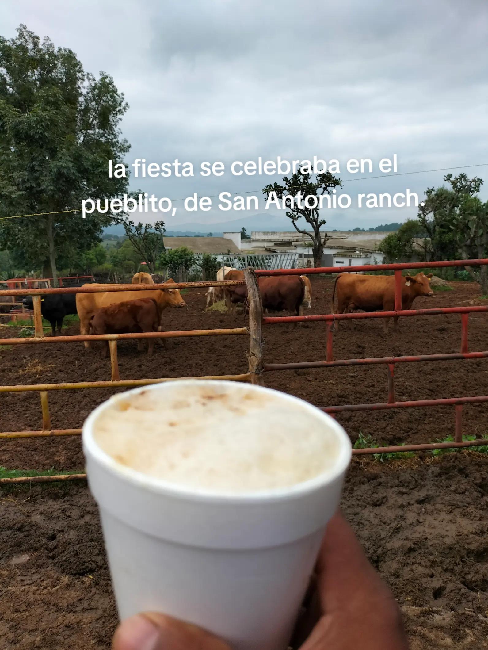 @Jose Miguel