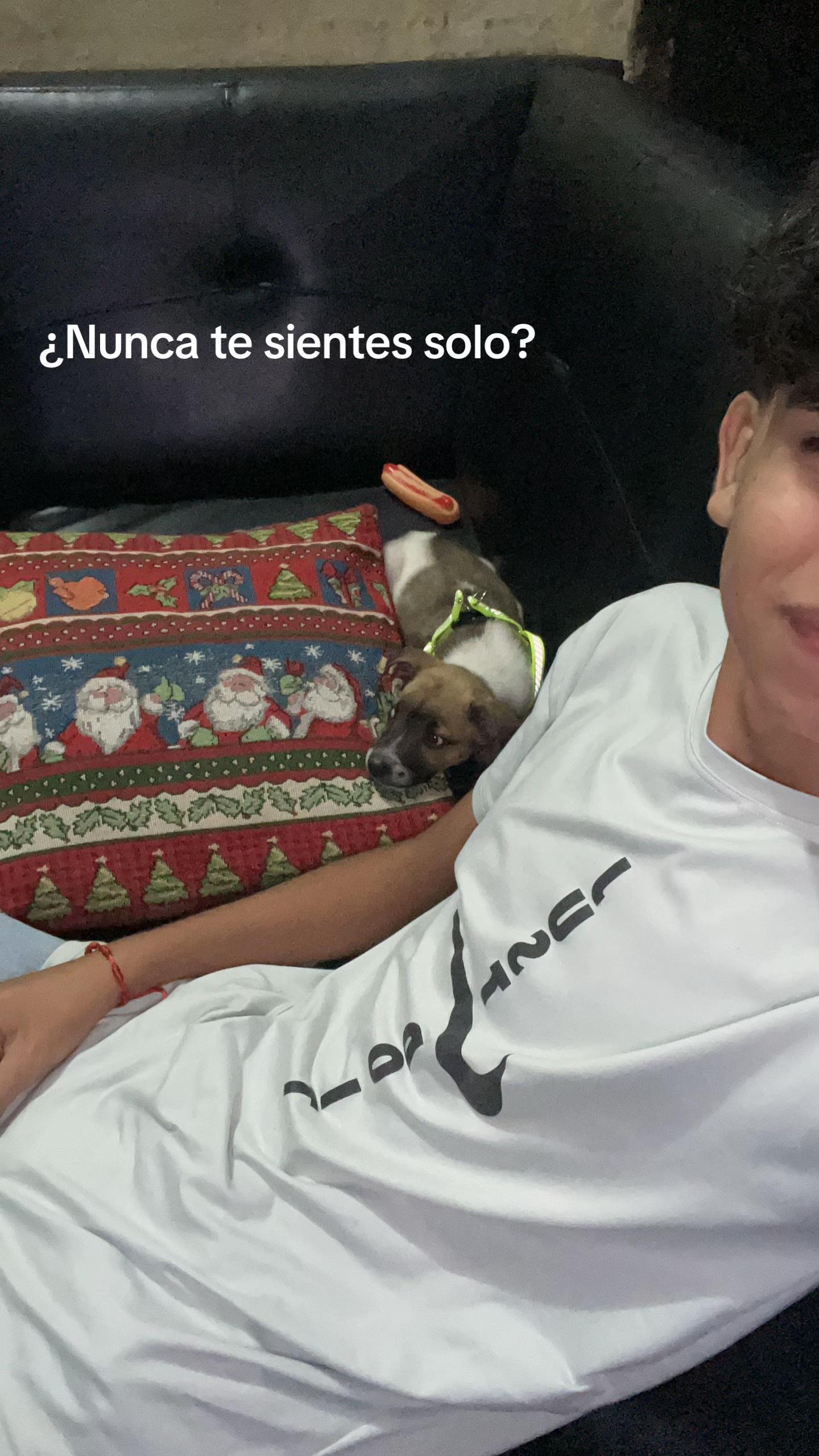 @XEM🪽