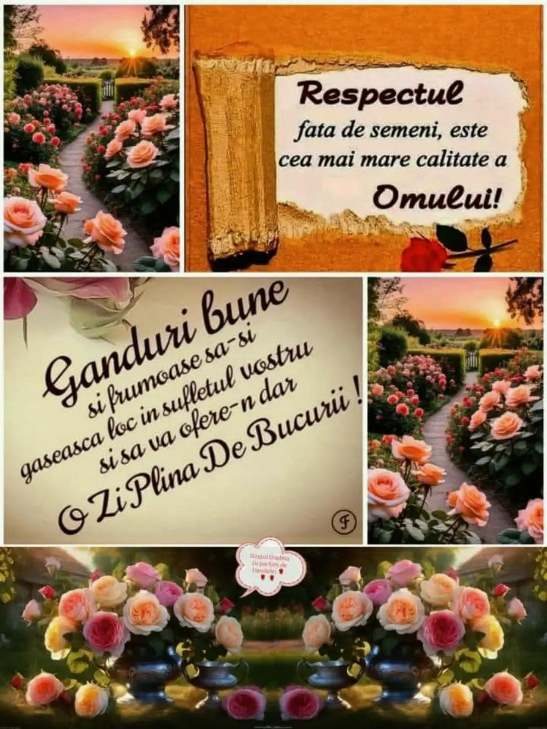 @any🌹rose