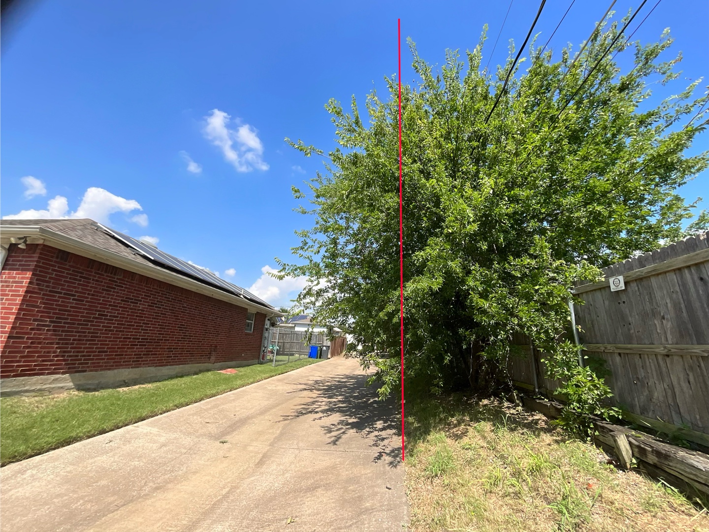 @Live Oak Tree Service