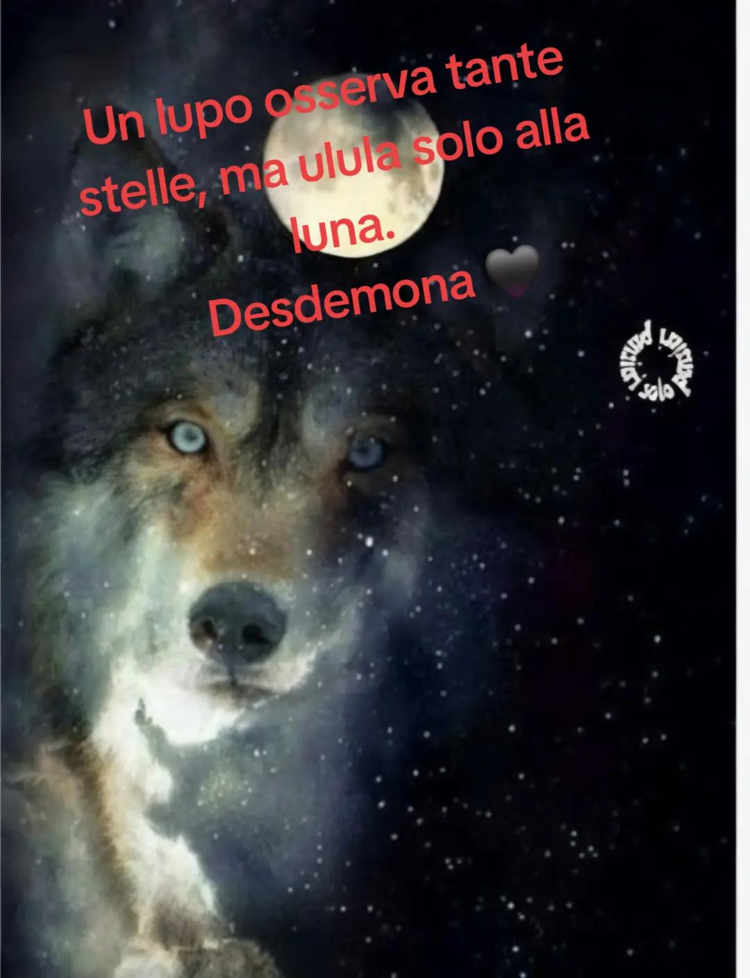 @Desdemona