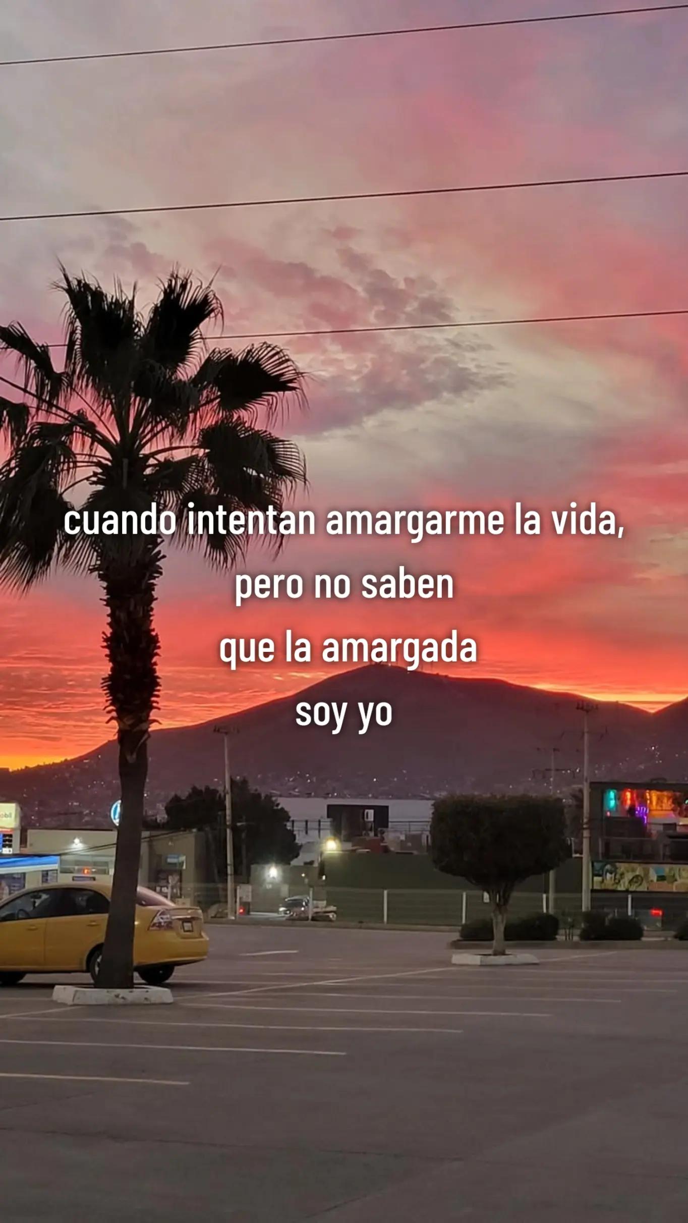 @Idalia Armenta🦋