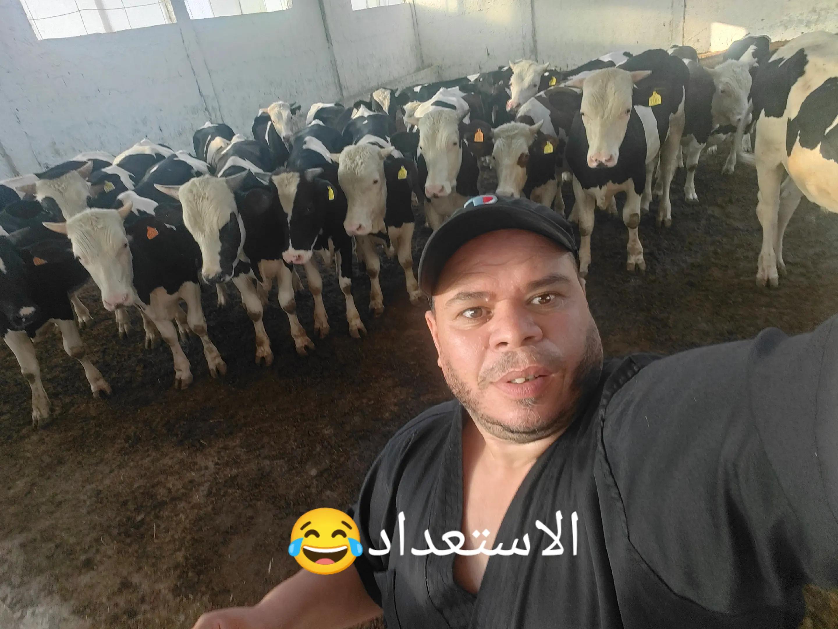 @طبيب بيطري و أفتخر