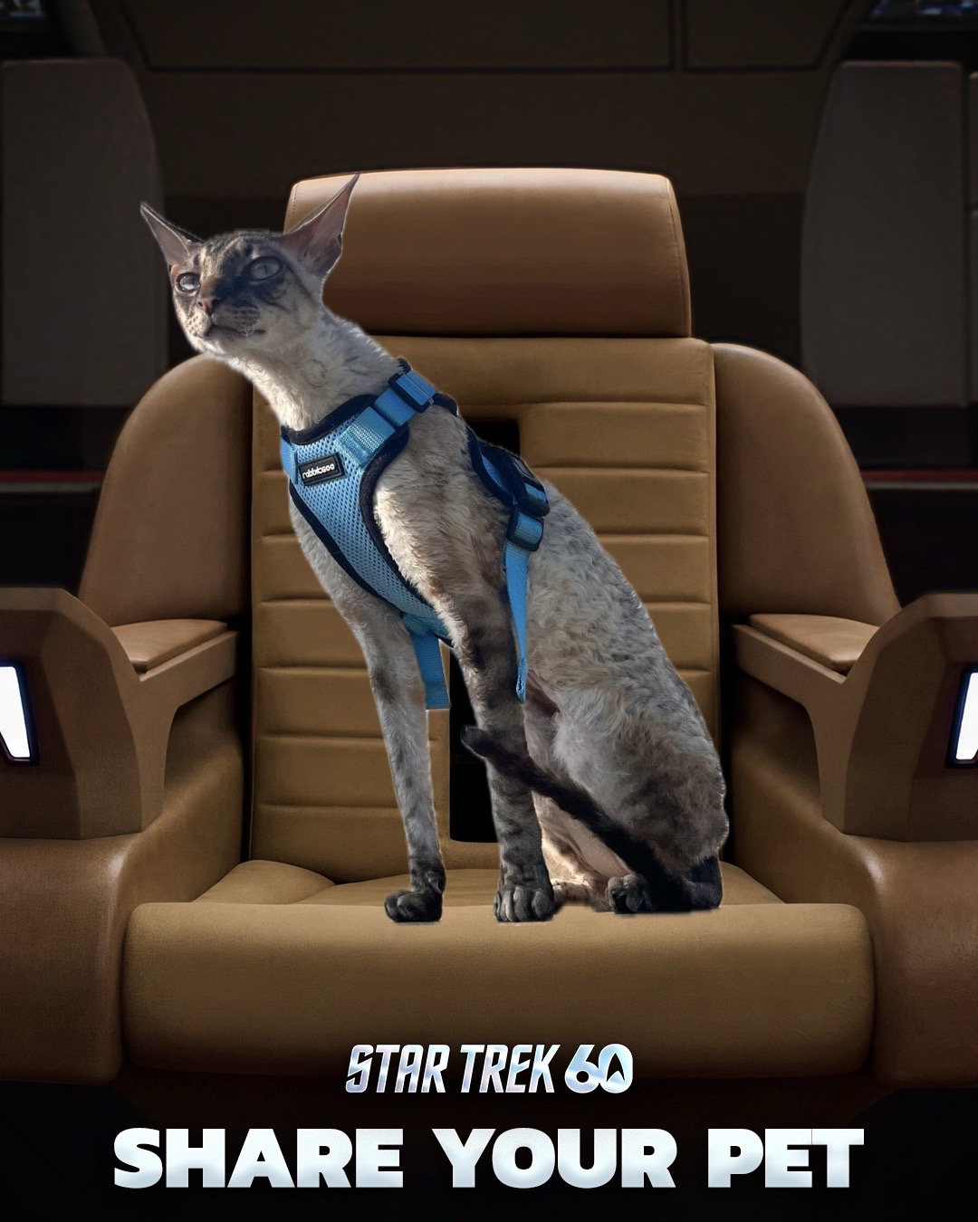 @Star Trek
