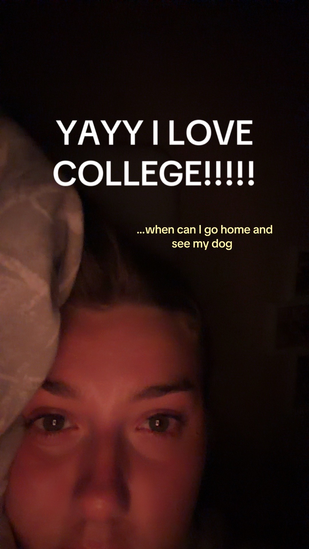 @def not caroline wells