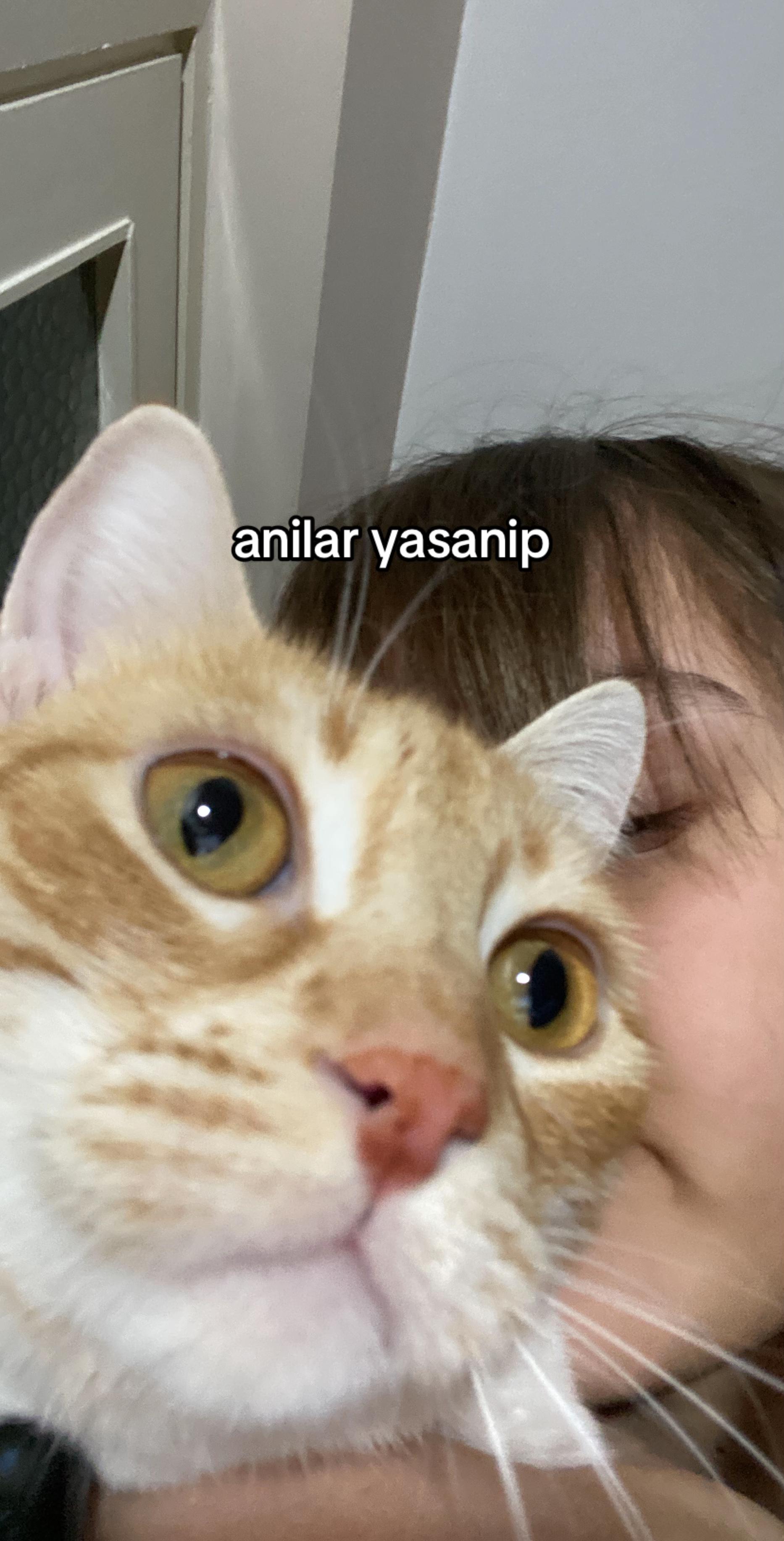 @zeyn🫧