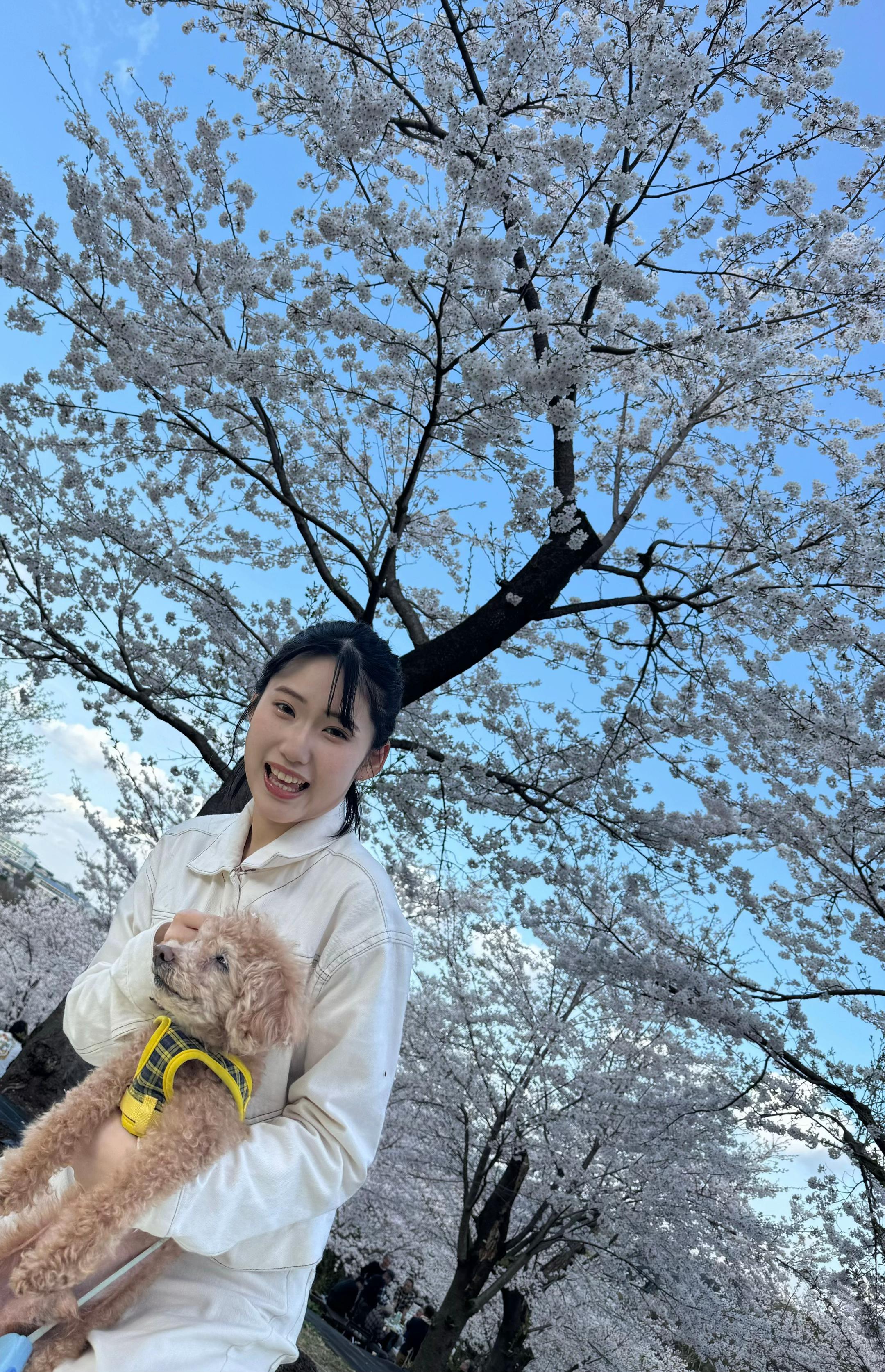@丁寧くん