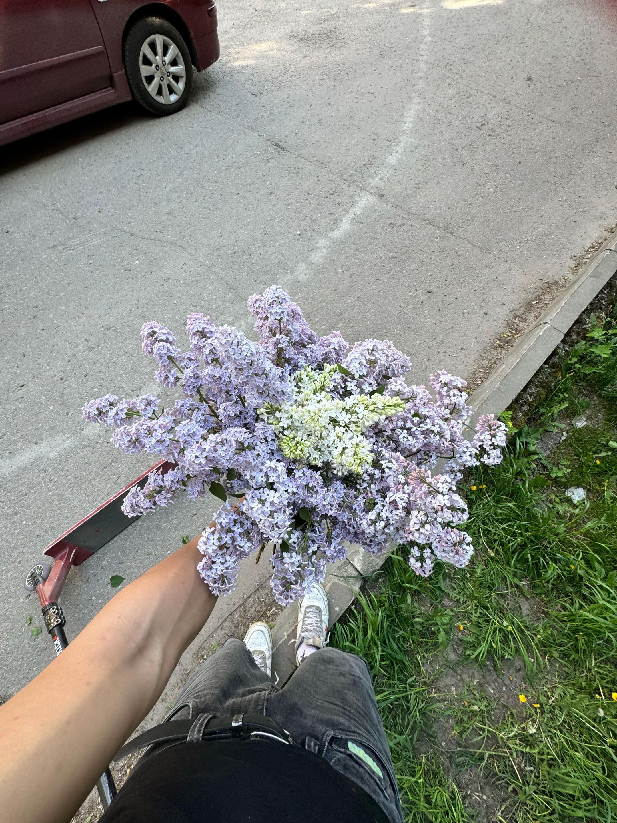 @Тгк:Nikito🆘
