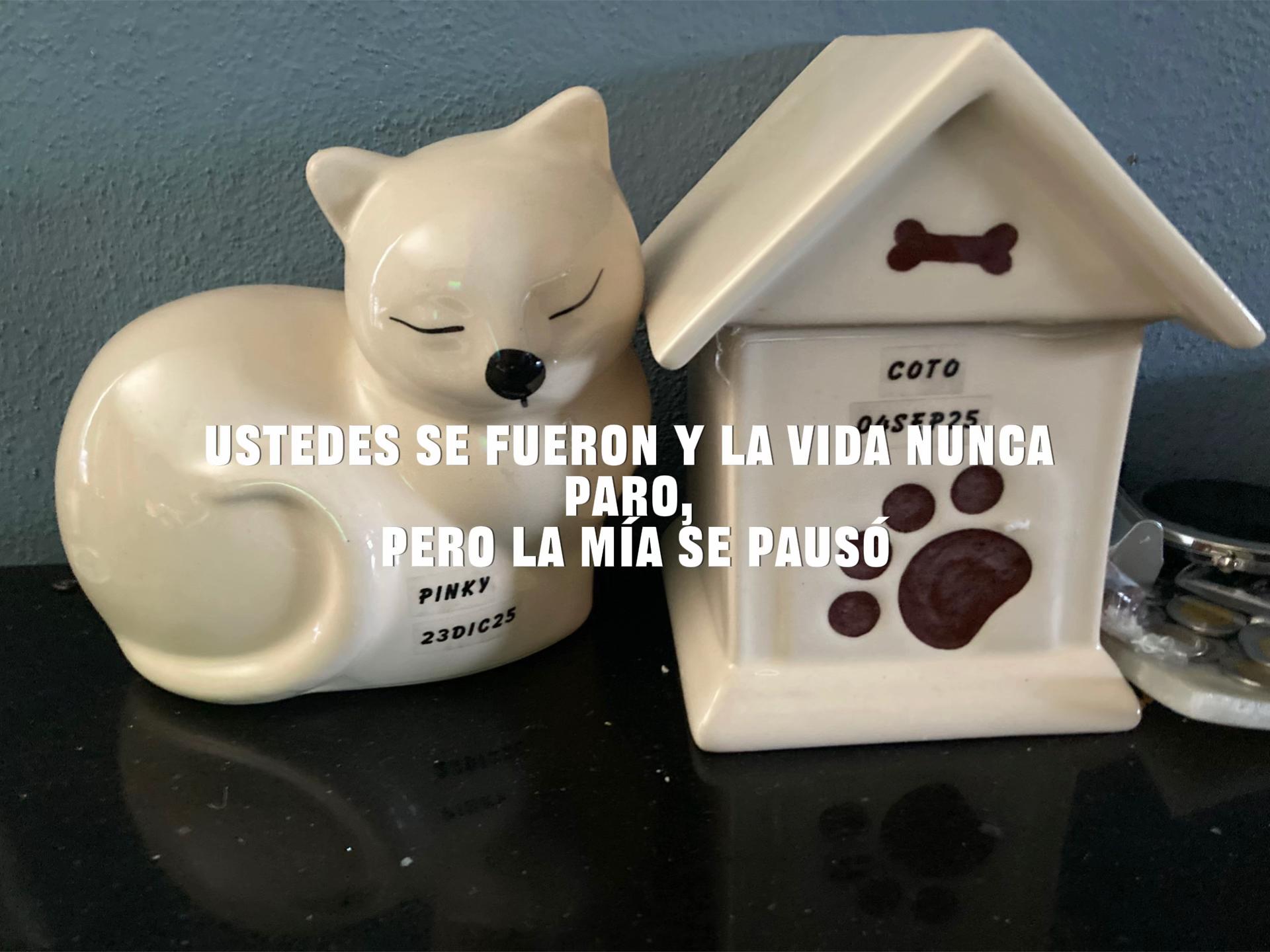 @<Pau>👾🪼