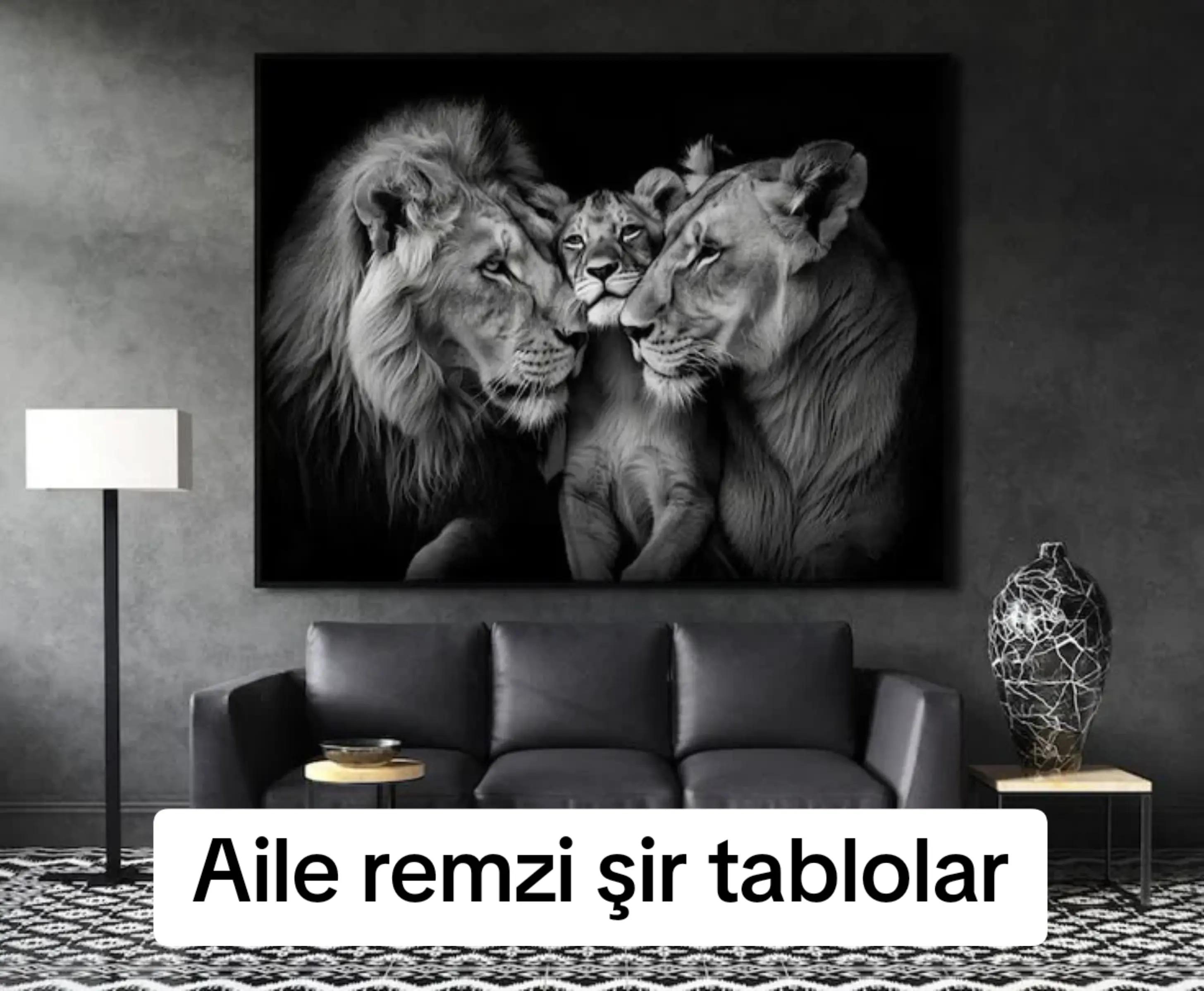 @TABLO EVI