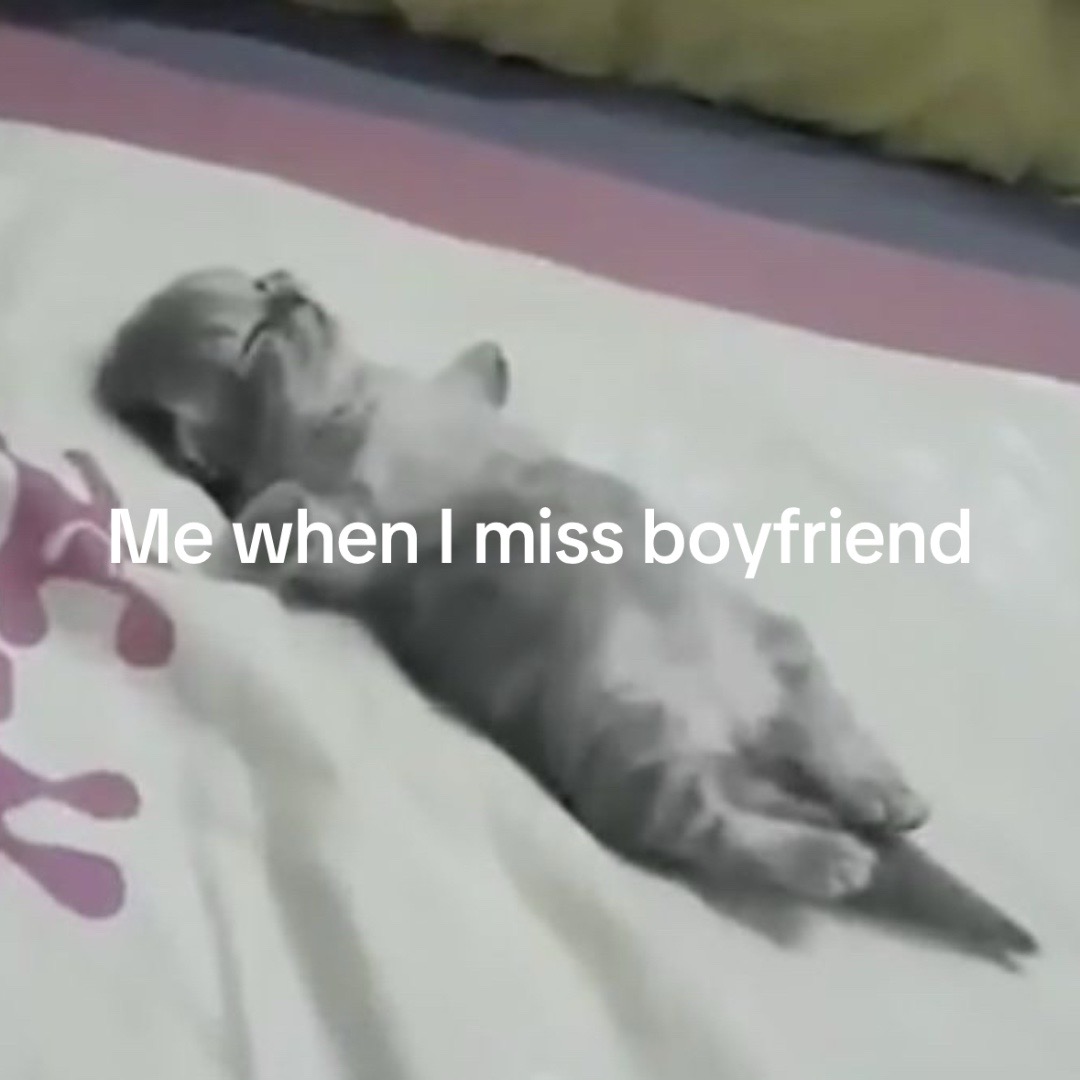 @lex🧸