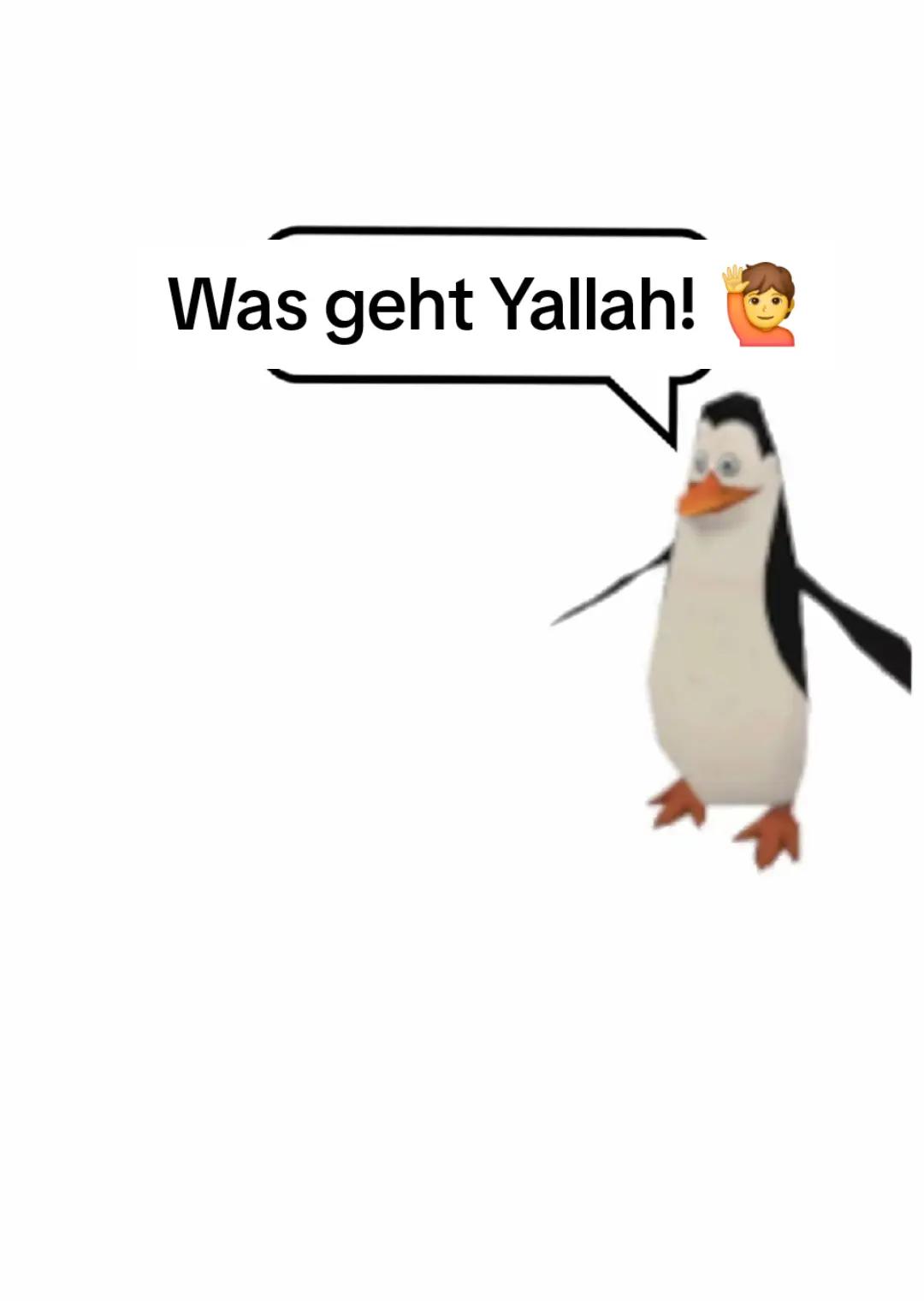 @Æstætics