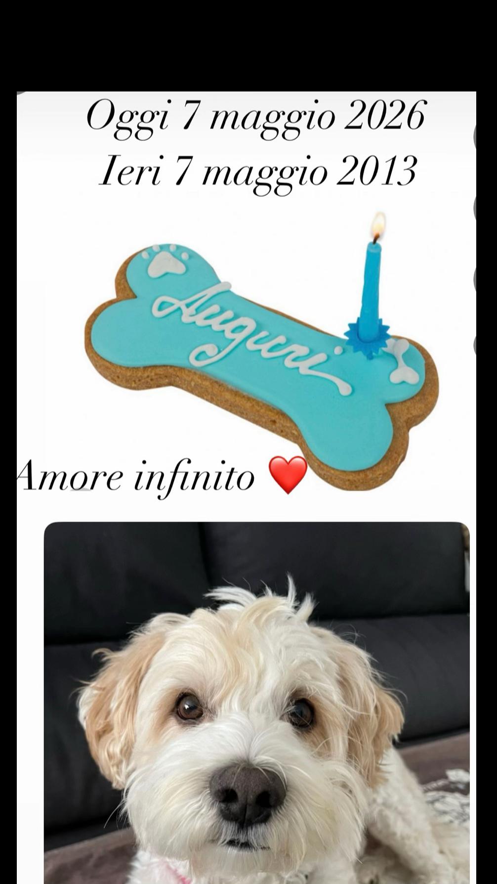 @Micina&mdash; annamaria