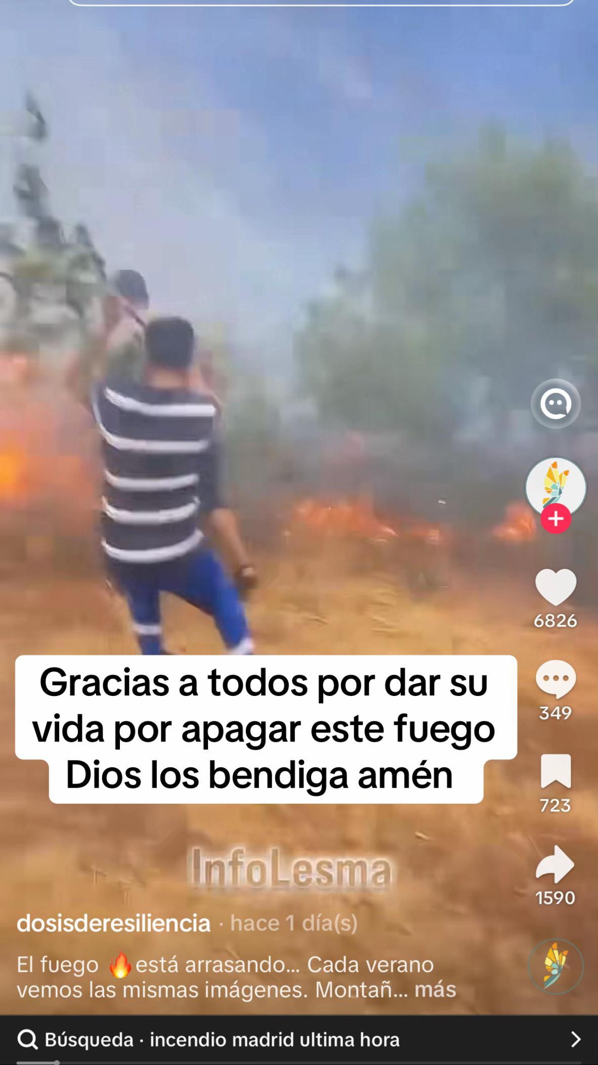 @Carmen Tom&aacute;s 13