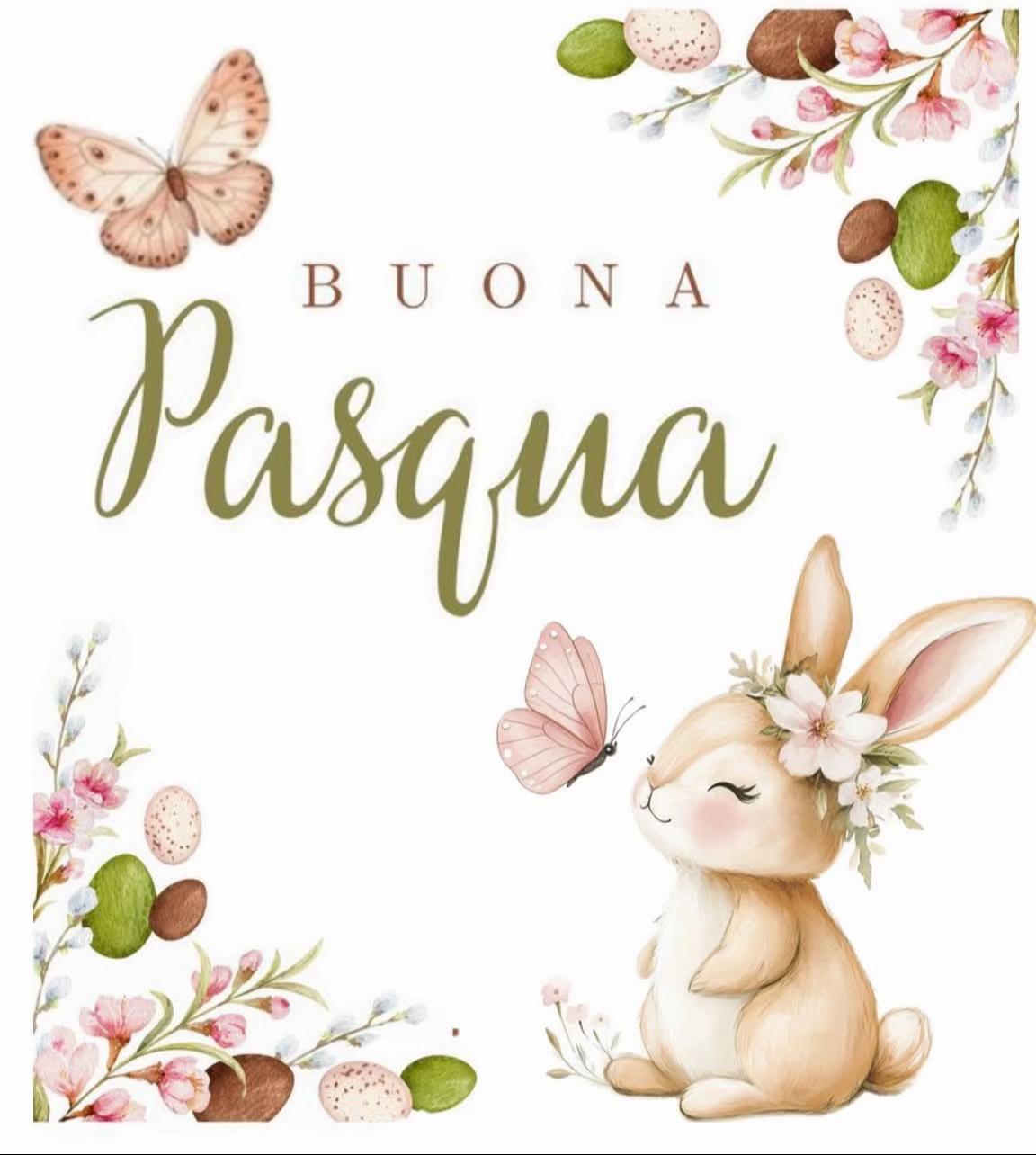 @silvanapuleo