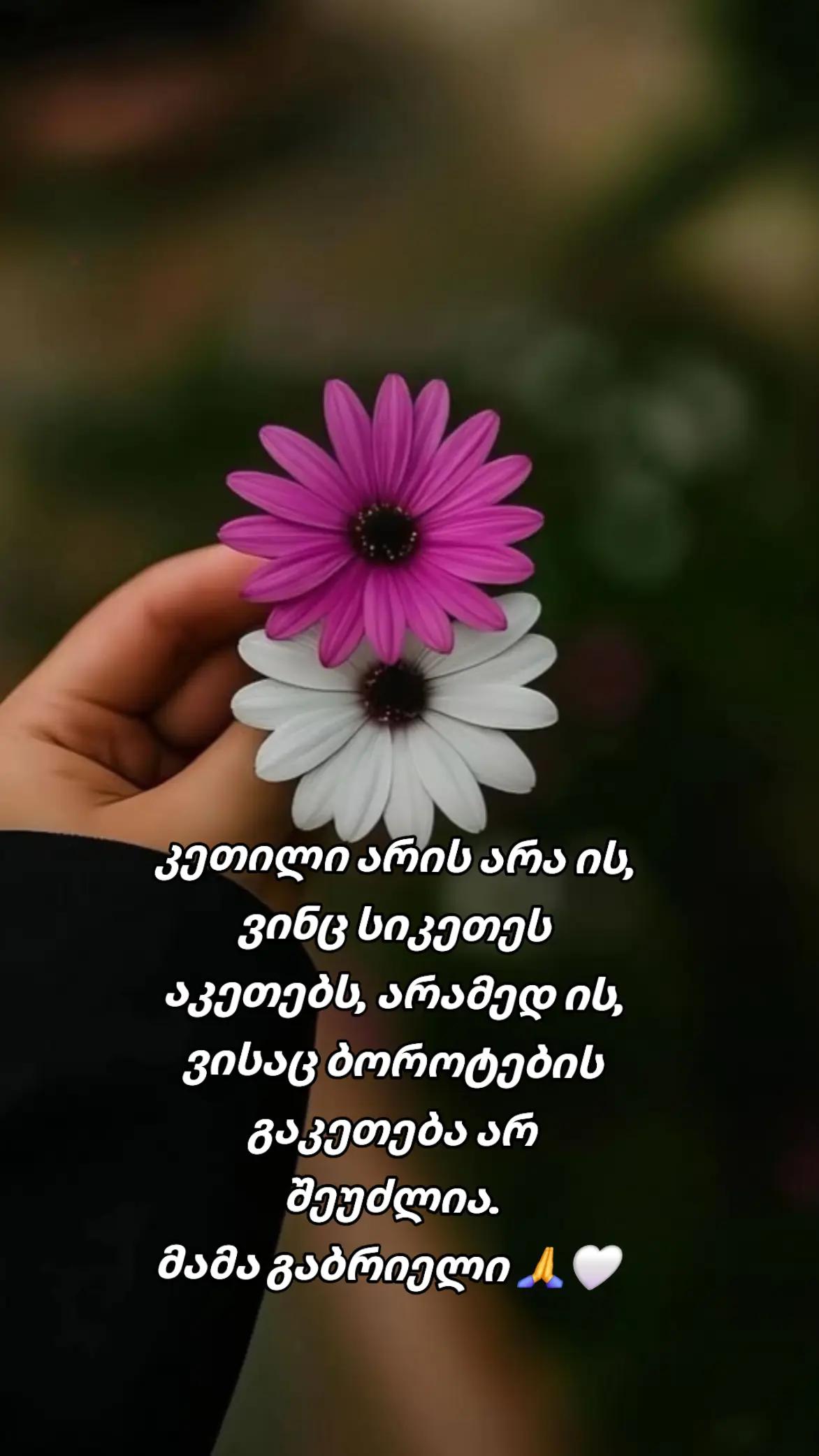 @TEKO๐ฆ๐ค