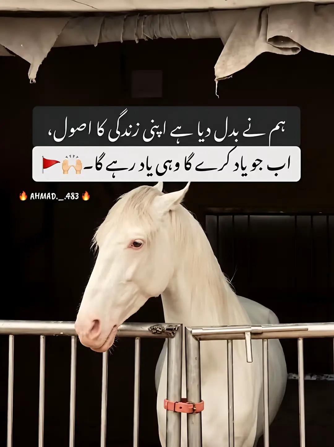 @Talhat Hussain