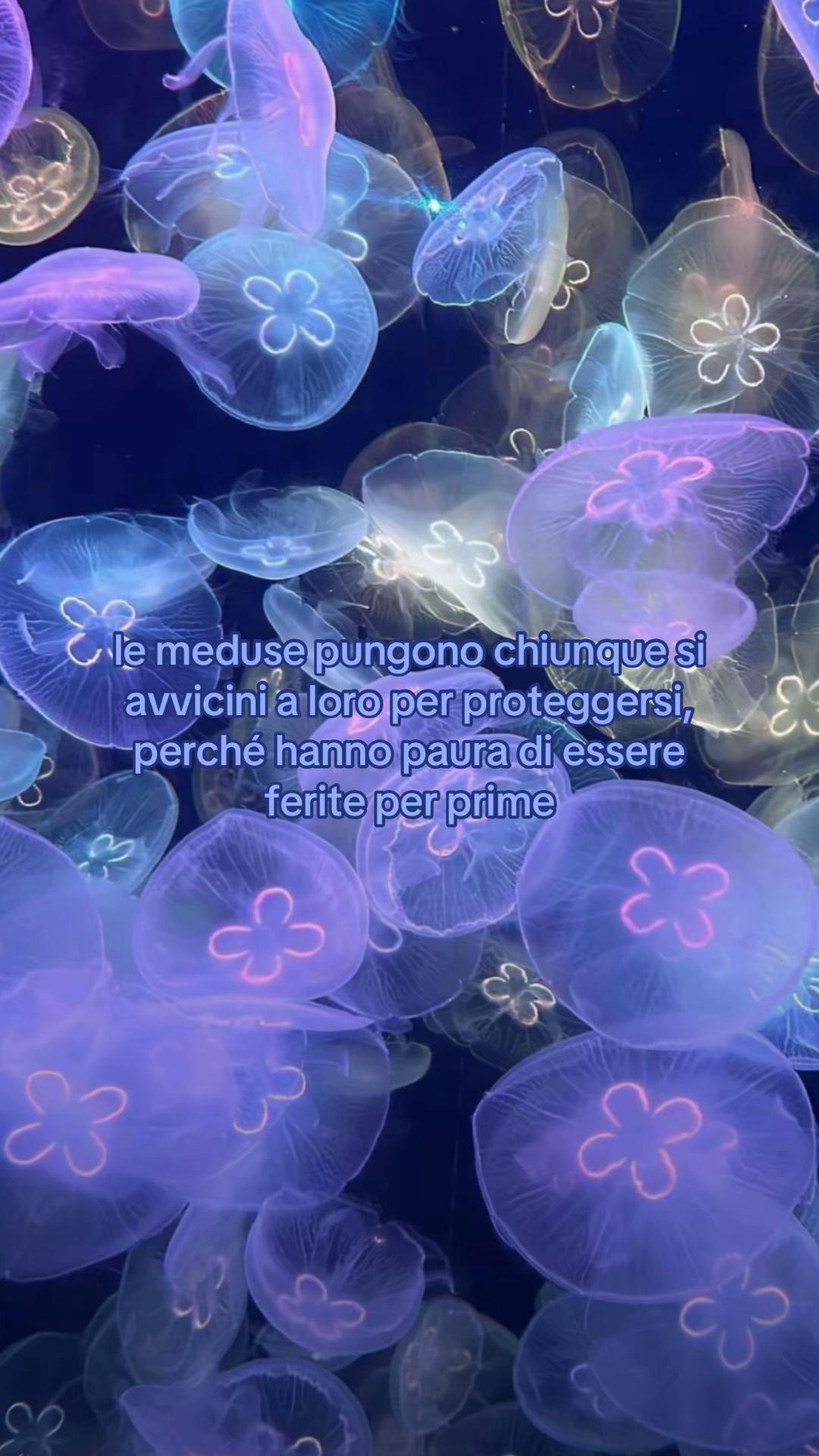 @&iota;ℓ&alpha;𐙚
