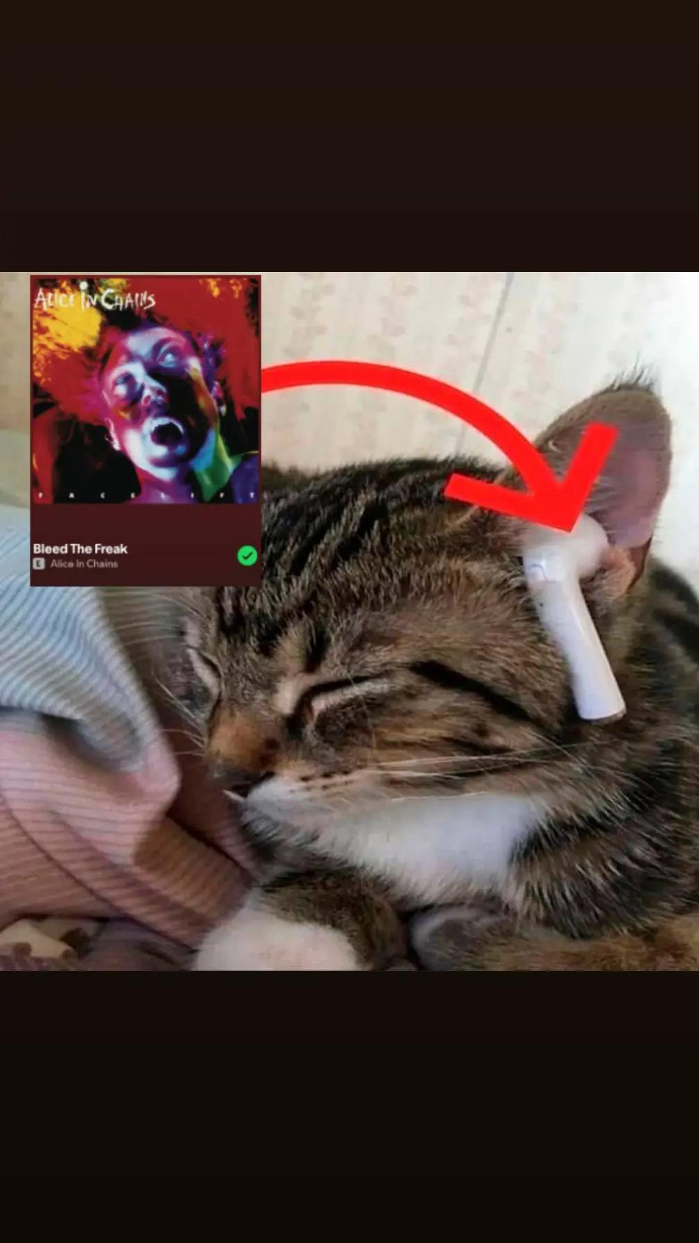 @Jagermajster