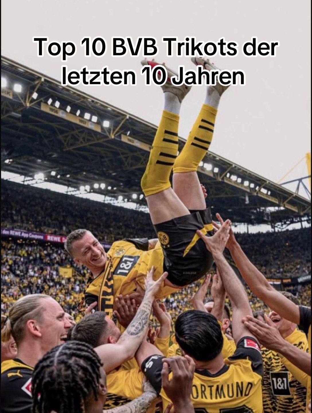 @XForza BVB🖤💛