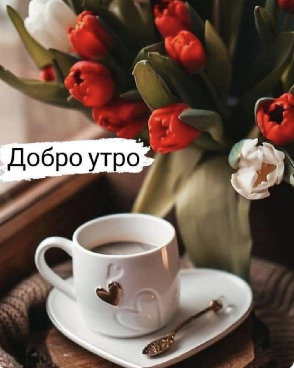 @🇧🇬🇧🇬🇧🇬ХРИСТО ДОНЕВ🤍💚❤️