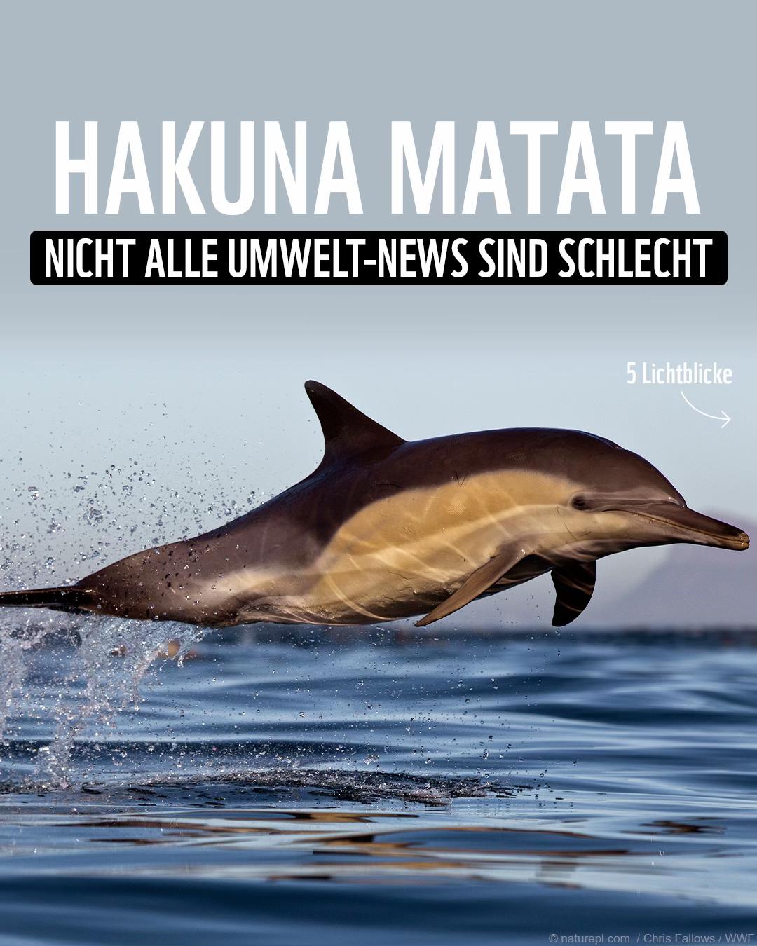 @WWF Schweiz