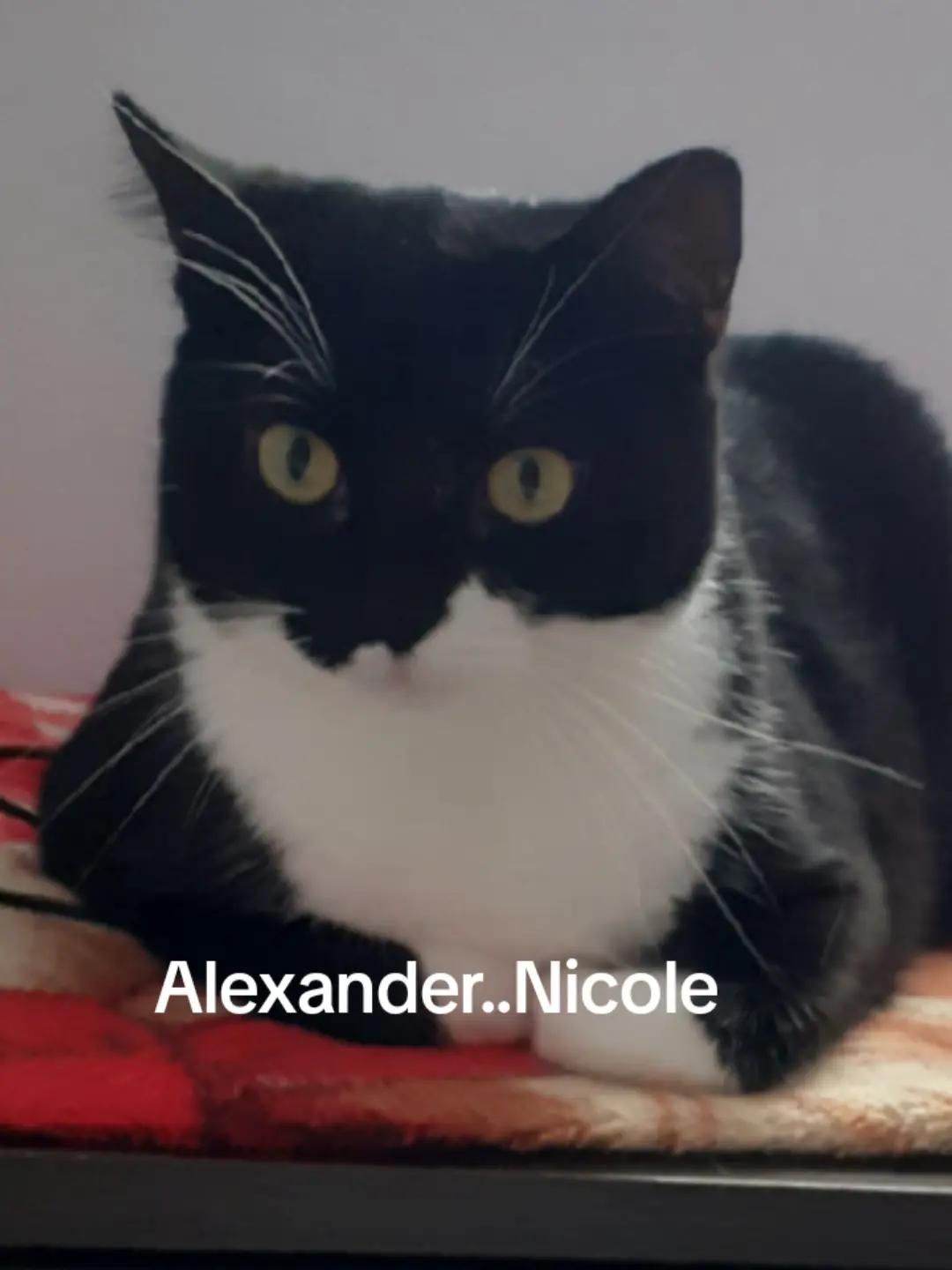 @Alexander..Nicole