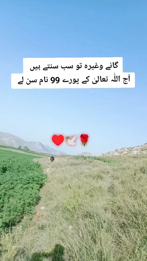 @✨Zahir_khan✨