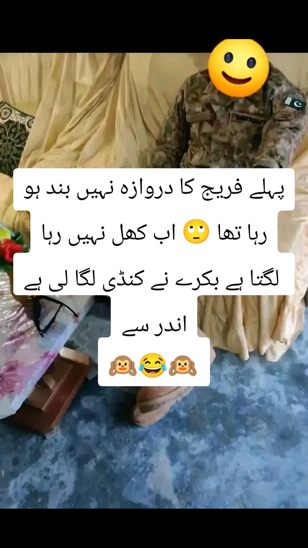@shehzadi